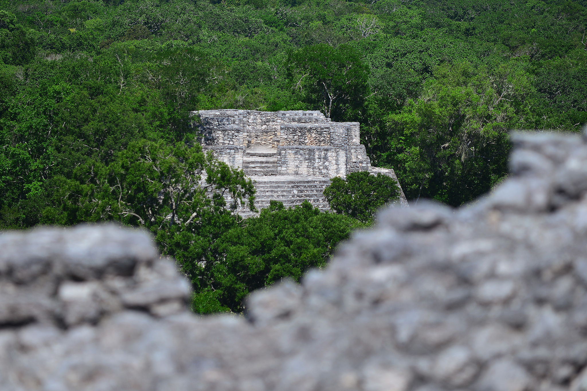ruins of the ancient mayan city of calakmul