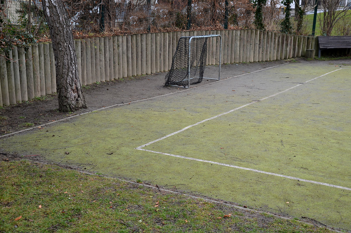 670 平方米草皮及时交付，避免雪天损毁