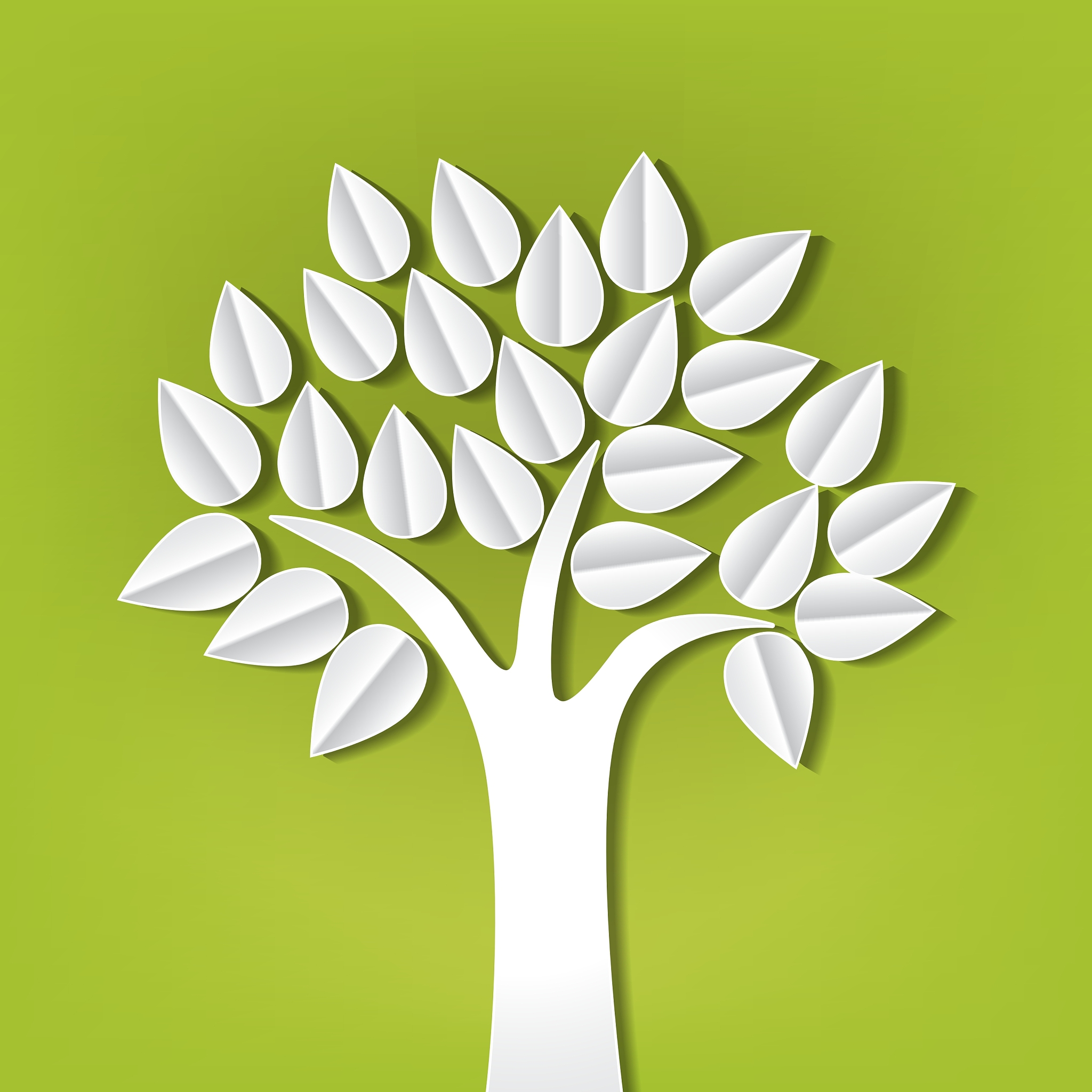 paper trees