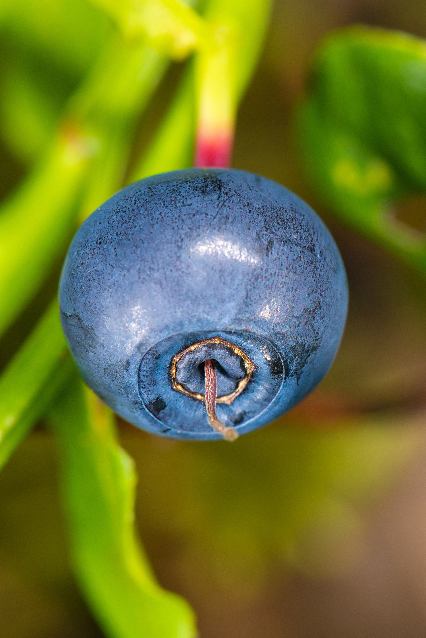 手机号码尾数居4位前两位小于后两位是什么意义