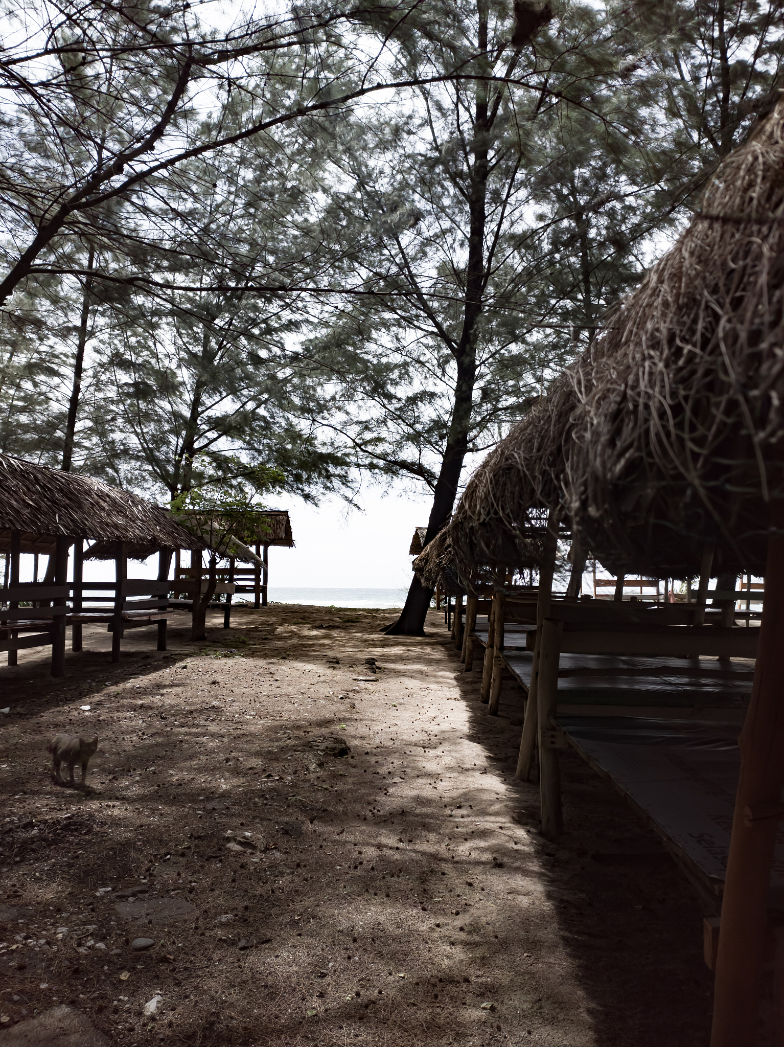 Kota-Kota Cantik di Jepang: Panduan Wisata dan Destinasi Populer