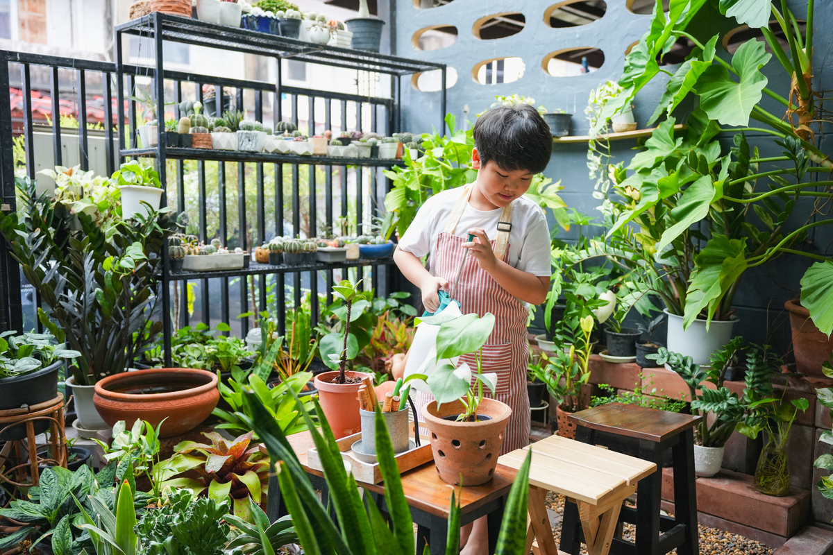 种菜是烟火气种花是什么气吖