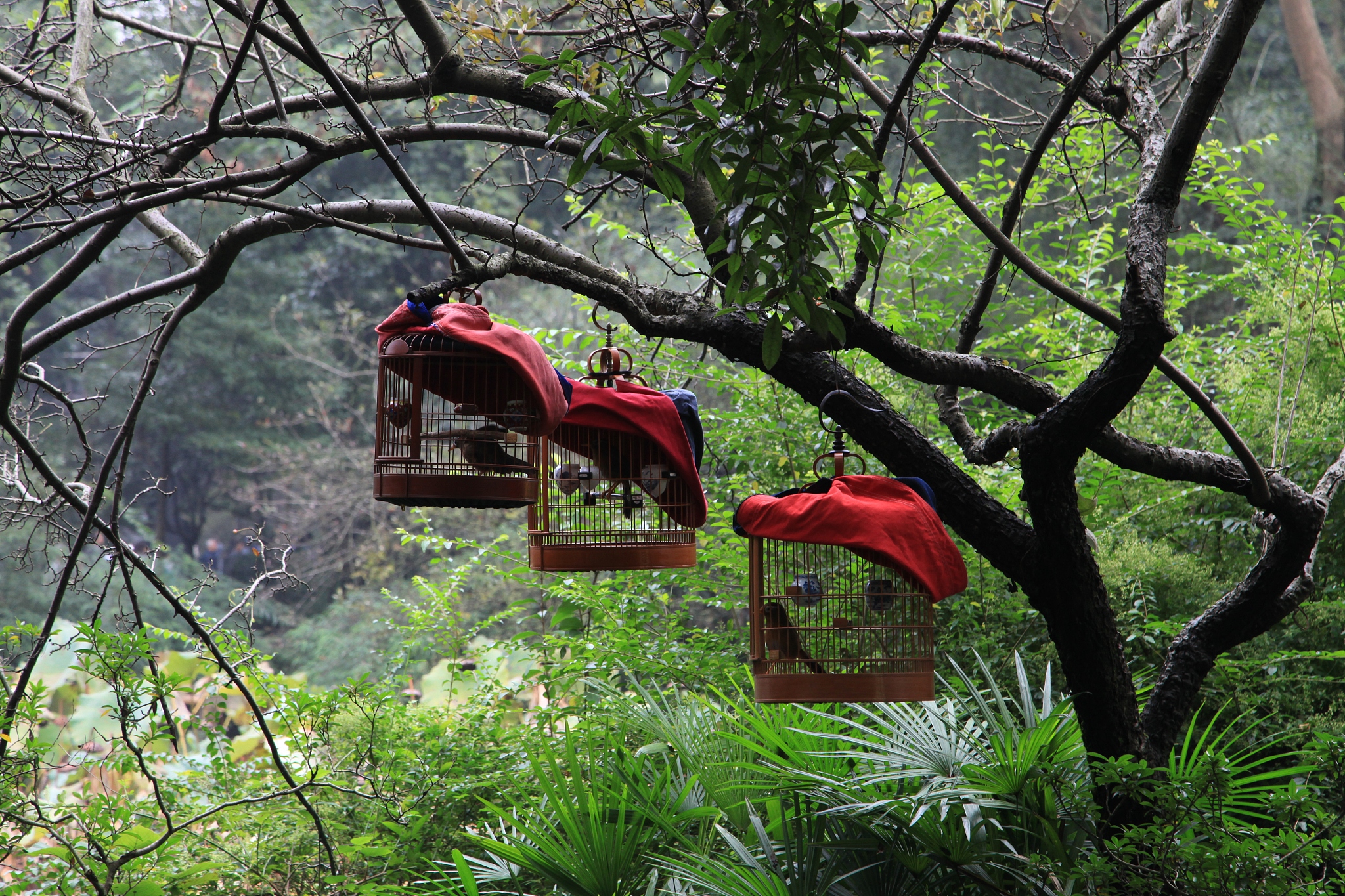 伟大的杜甫 写一篇300字小学作文