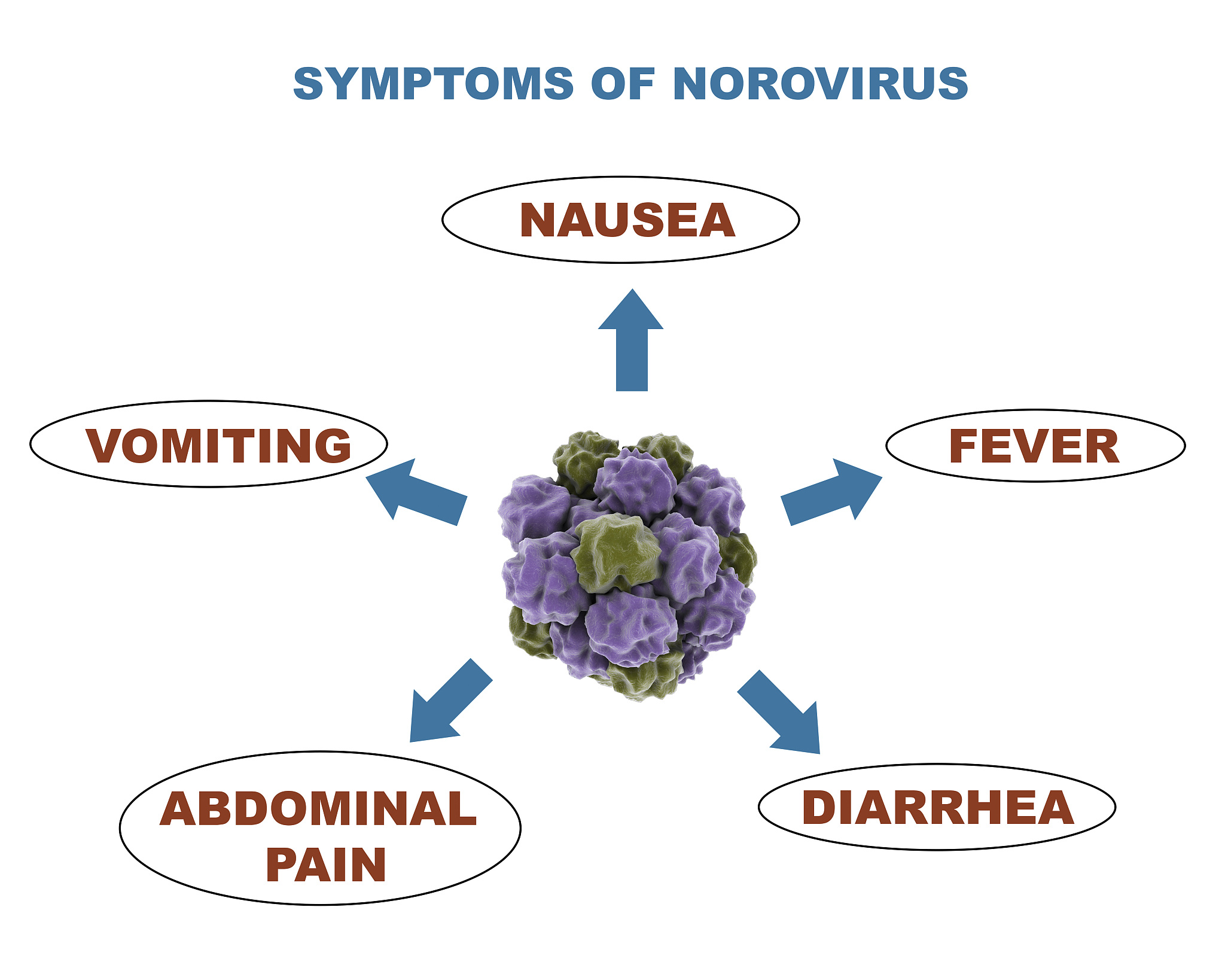 如何用实验对比正常细胞和肿瘤细胞的氧化应激水平