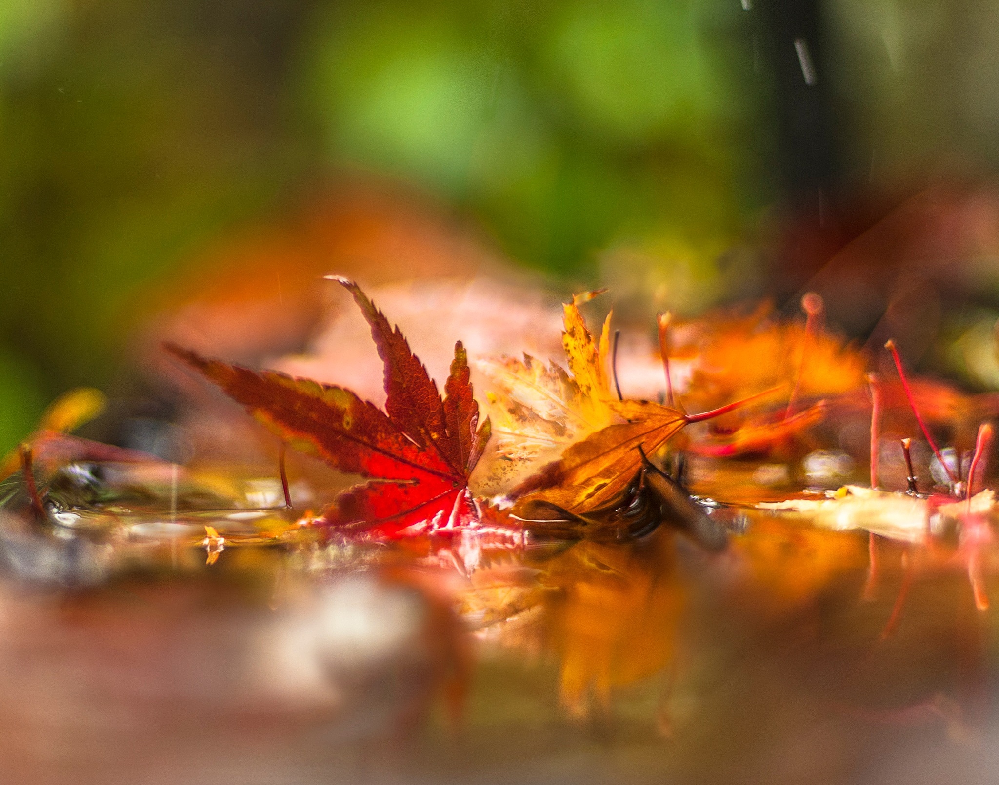 写一首三行诗要有意境