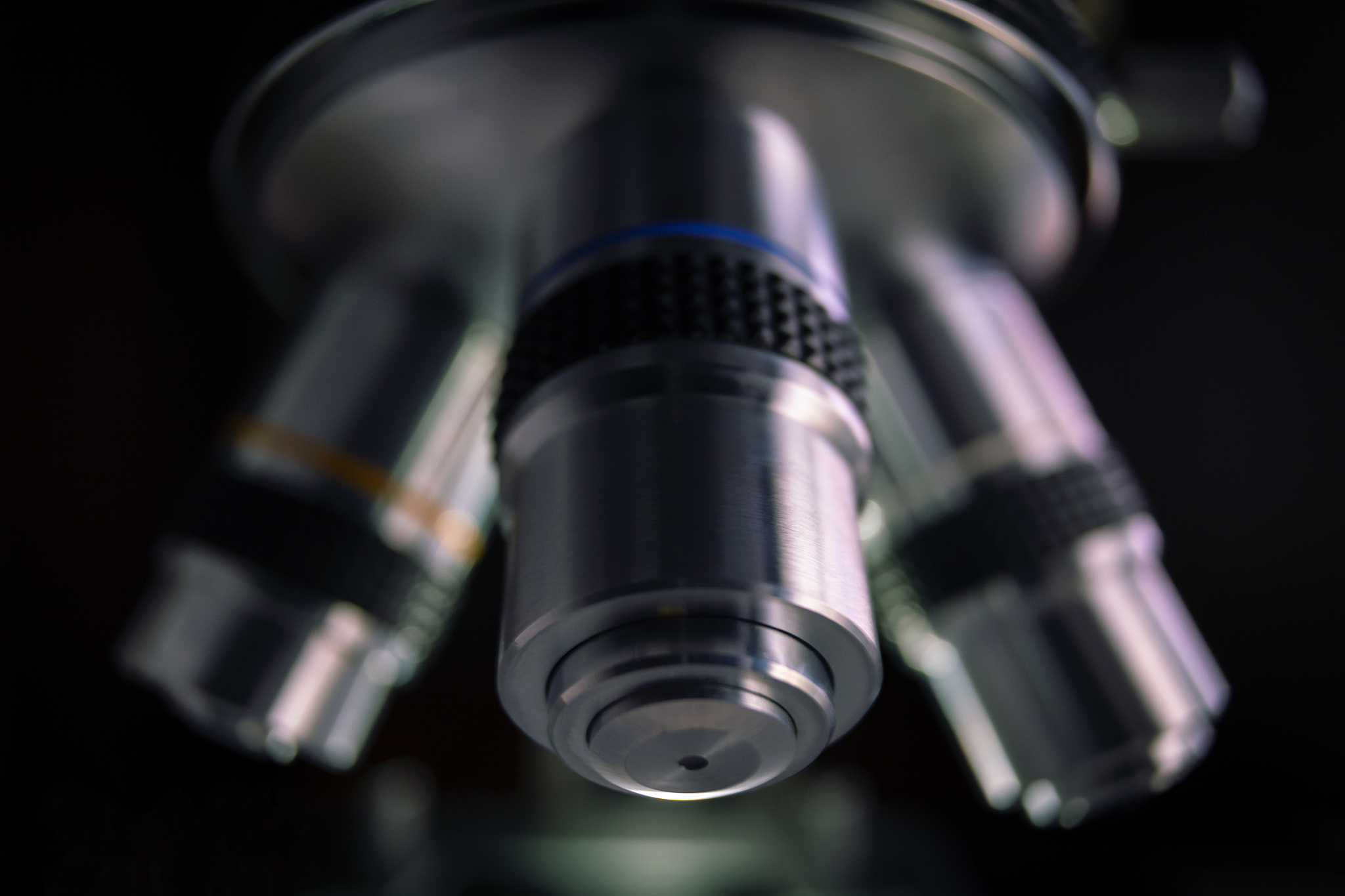laboratory optical microscope