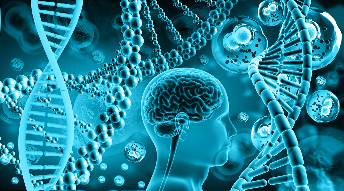 解析DNA分子结构的过程中有哪些领域的科学家没有参与？