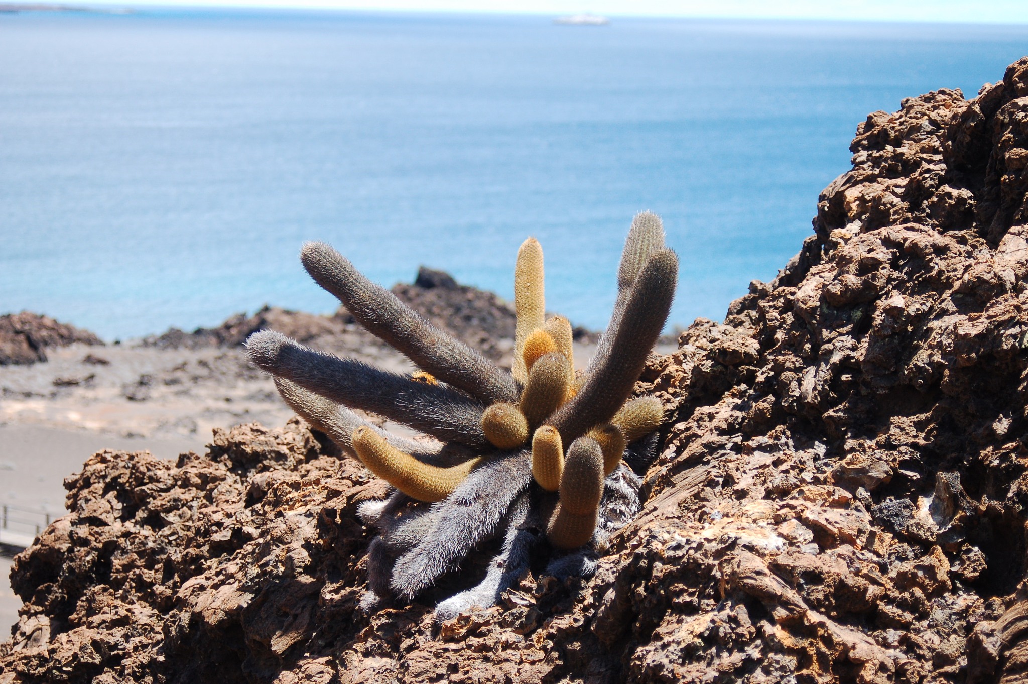 bartolomé island in the galápagos islands