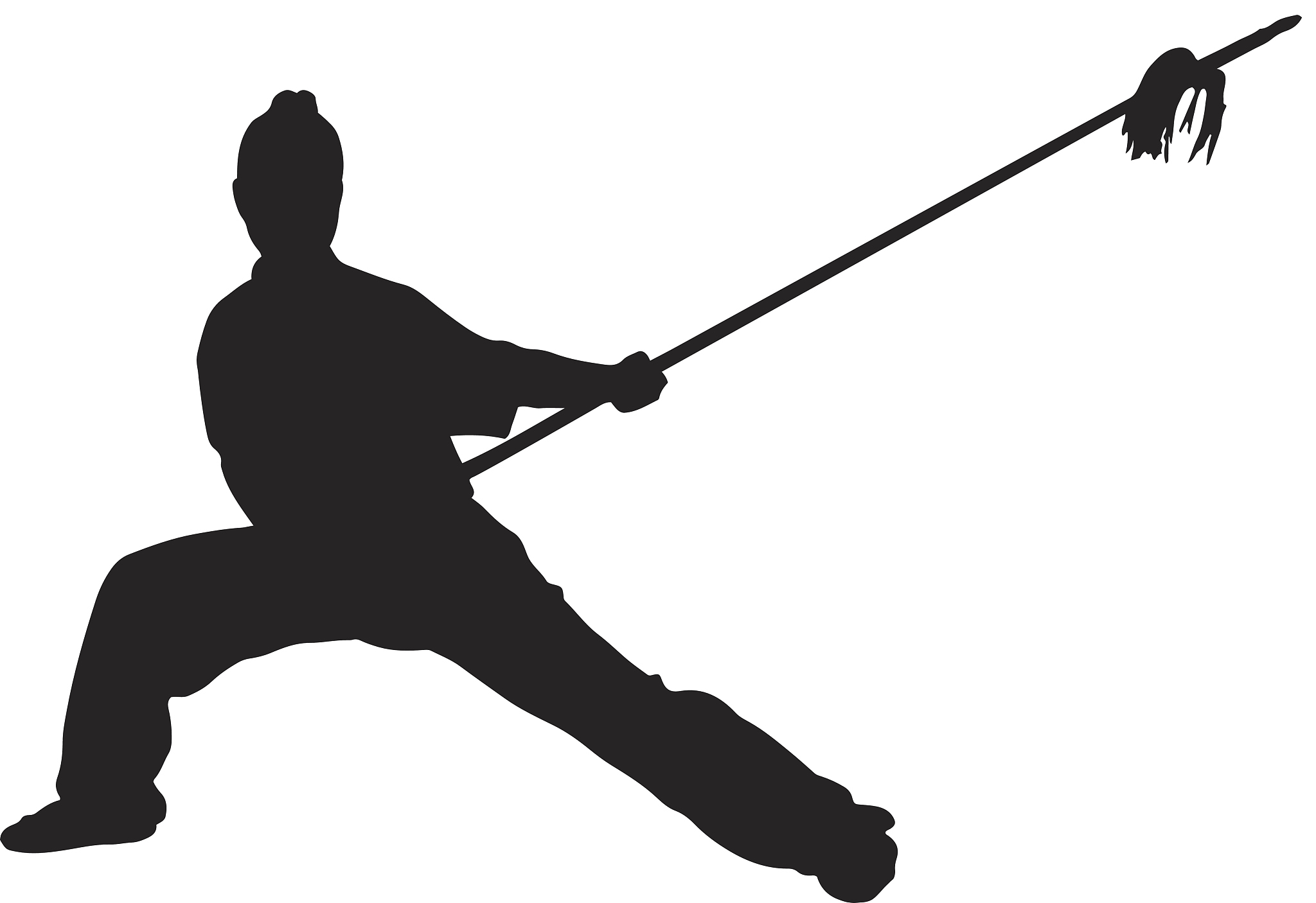kung fu silhouette