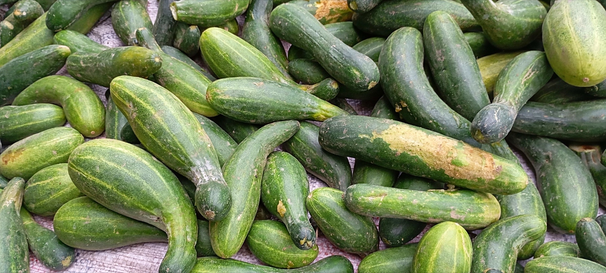 苏瓜不能和什么一起吃？3种食物搭配禁忌！