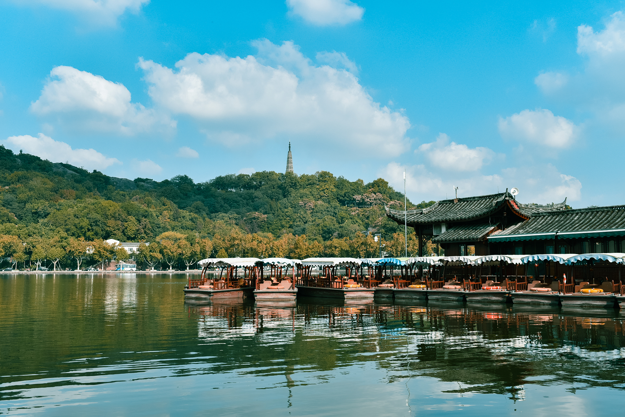 萧山区旅游攻略：探寻江南水乡的古韵与新潮