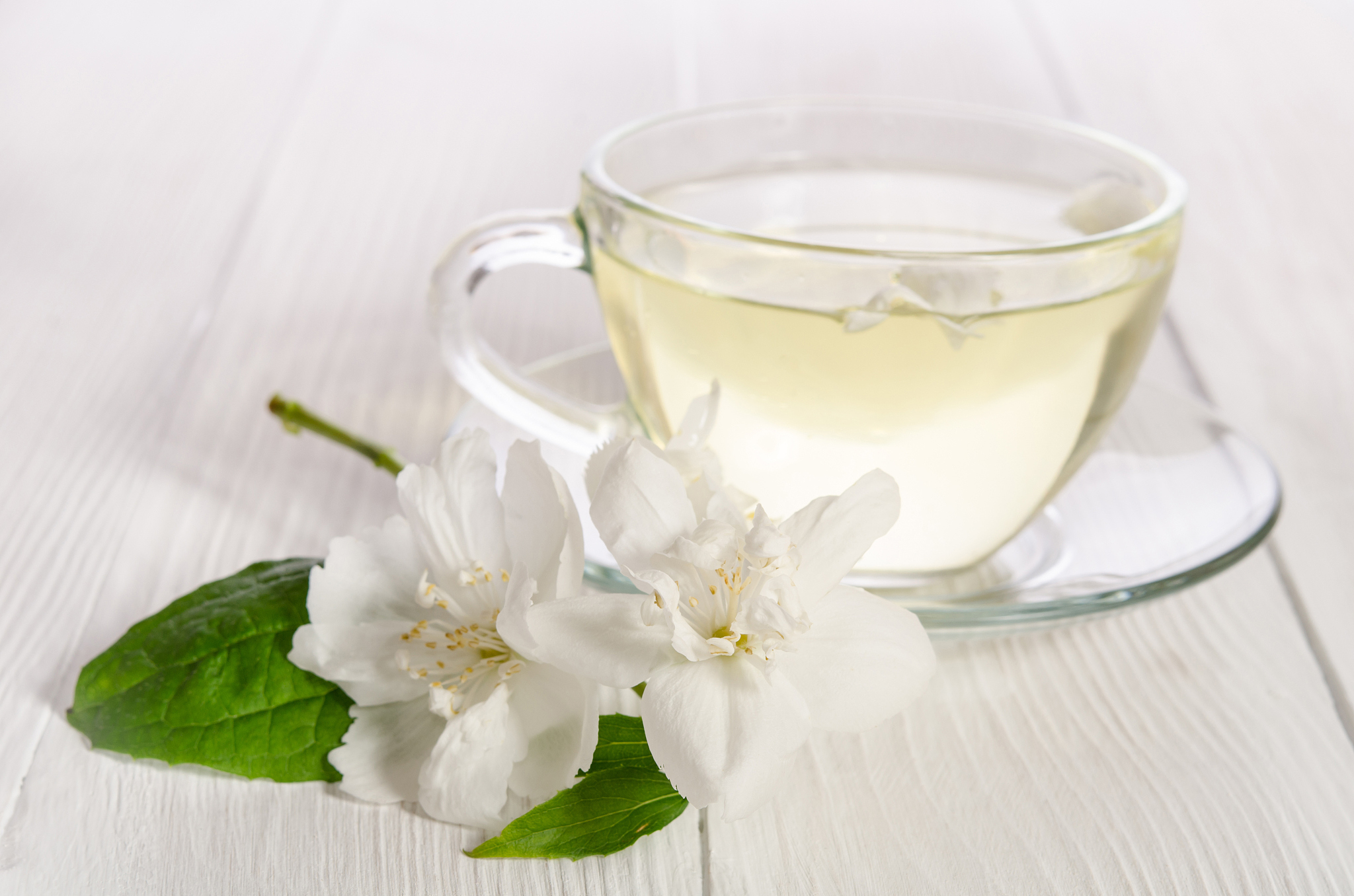 请写100字左右的茉莉奶白的评价