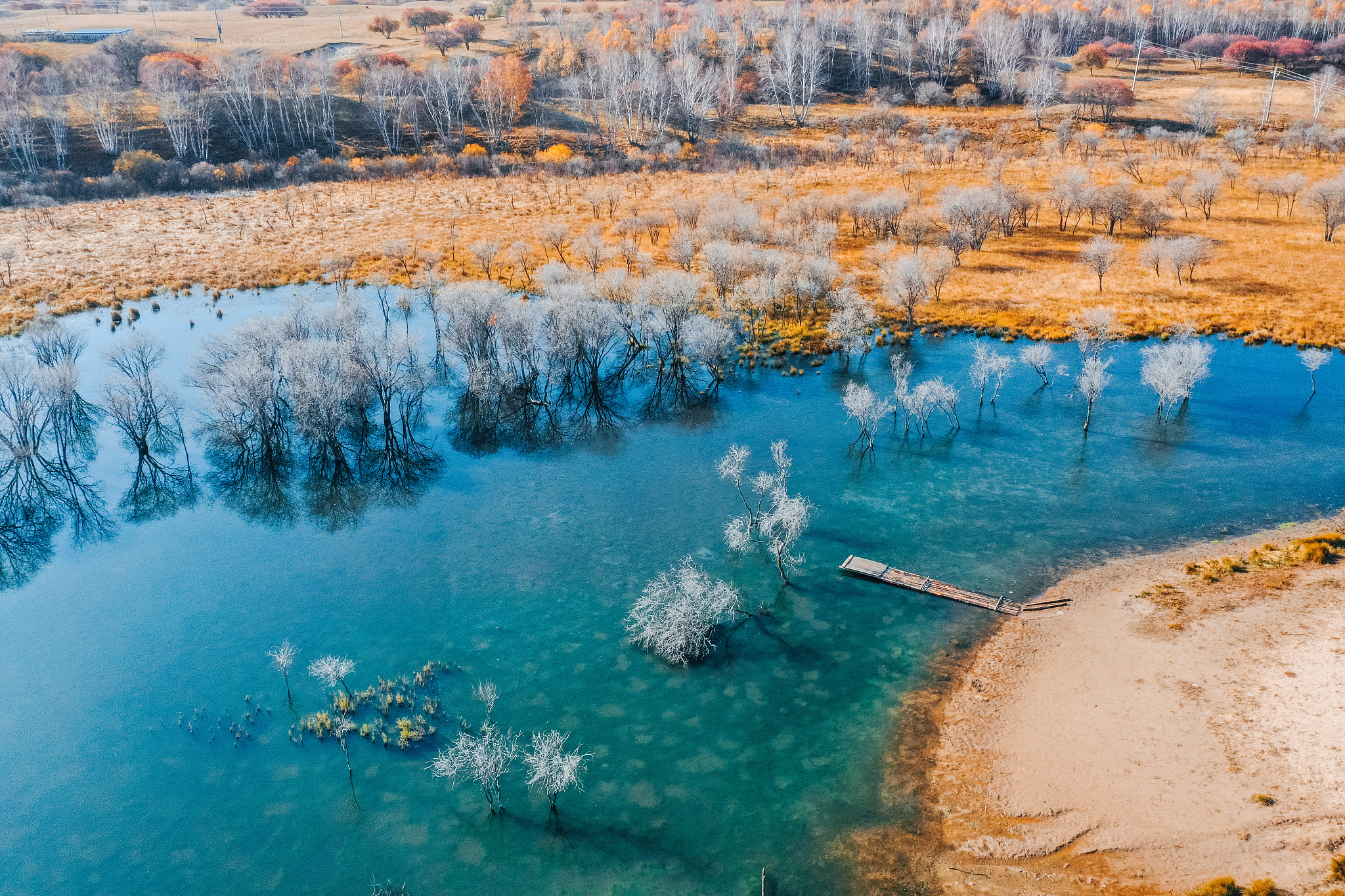 RIVER RESEARCH AND APPLICATIONS 期刊：促进河流研究与应用