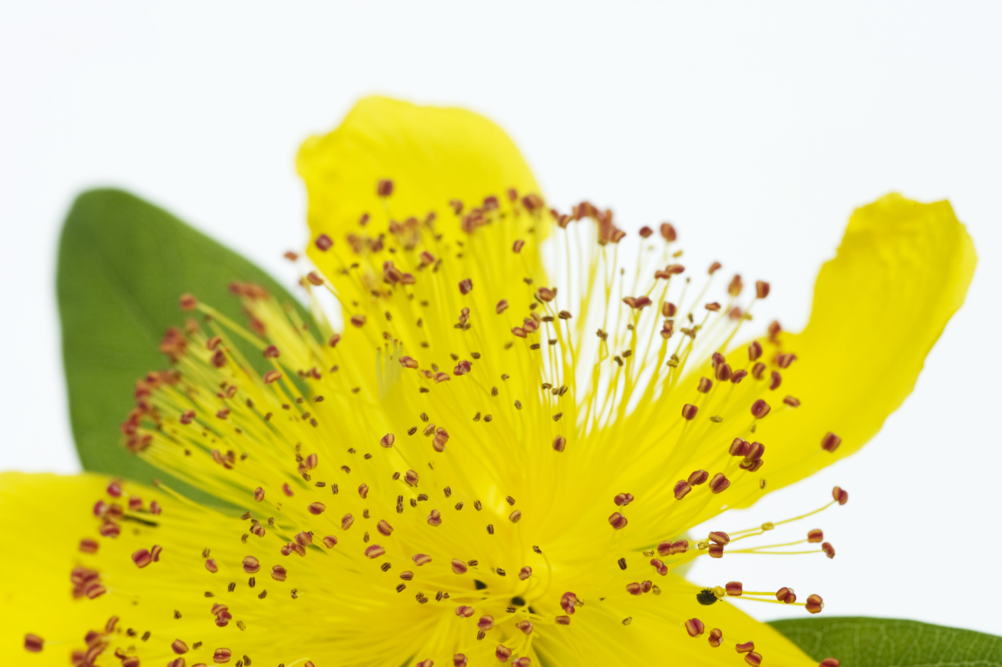 改善精神分裂症阴性症状的药物选择指南