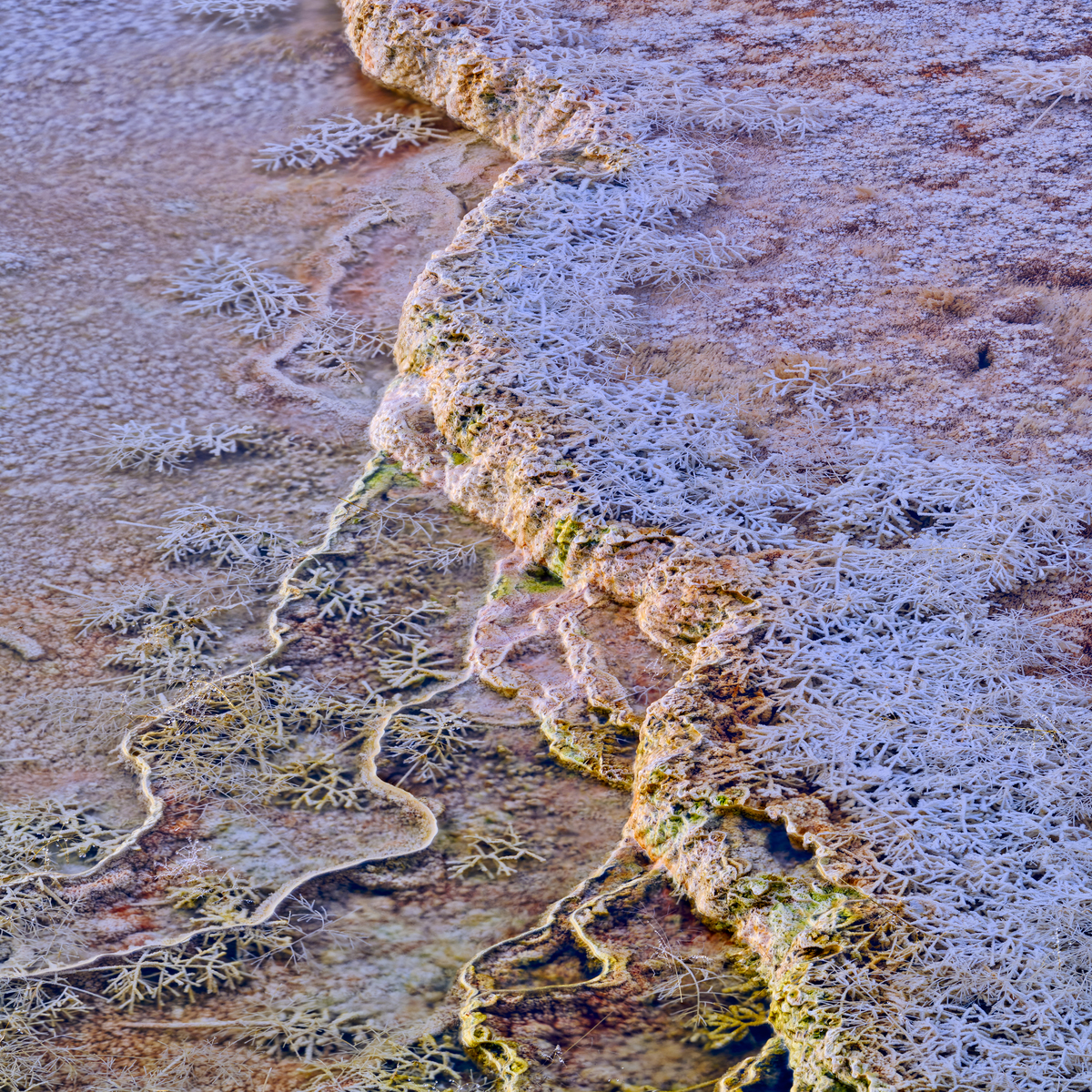崇明岛形成的秘密：河流冲积、海水侵蚀和人类活动