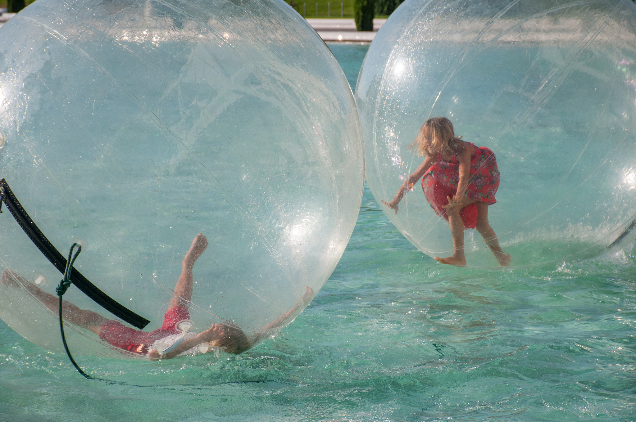 young boy & girl in a water zorb