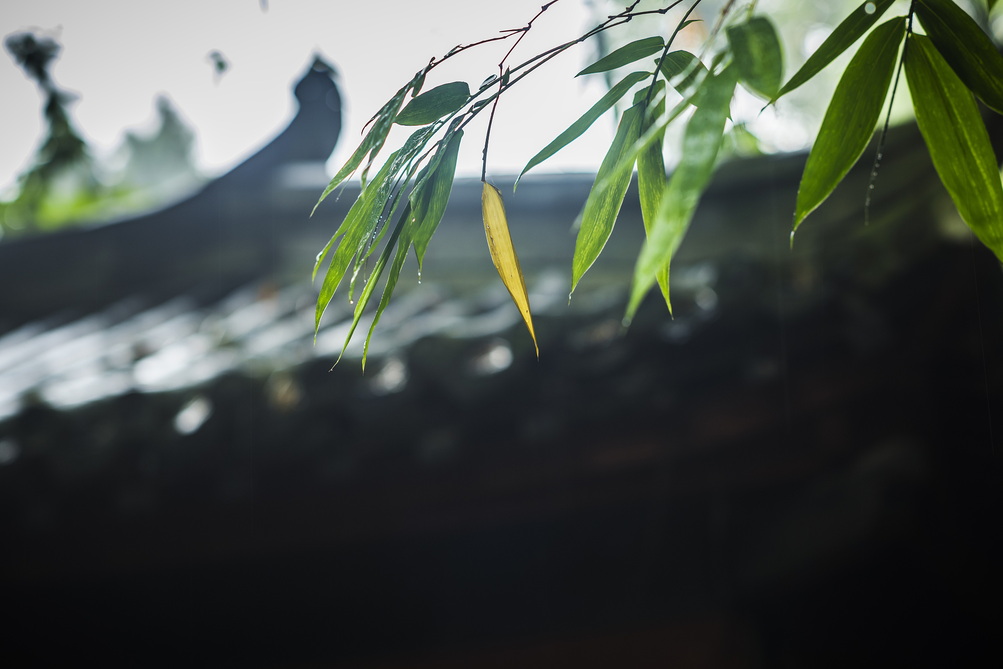武侯祠