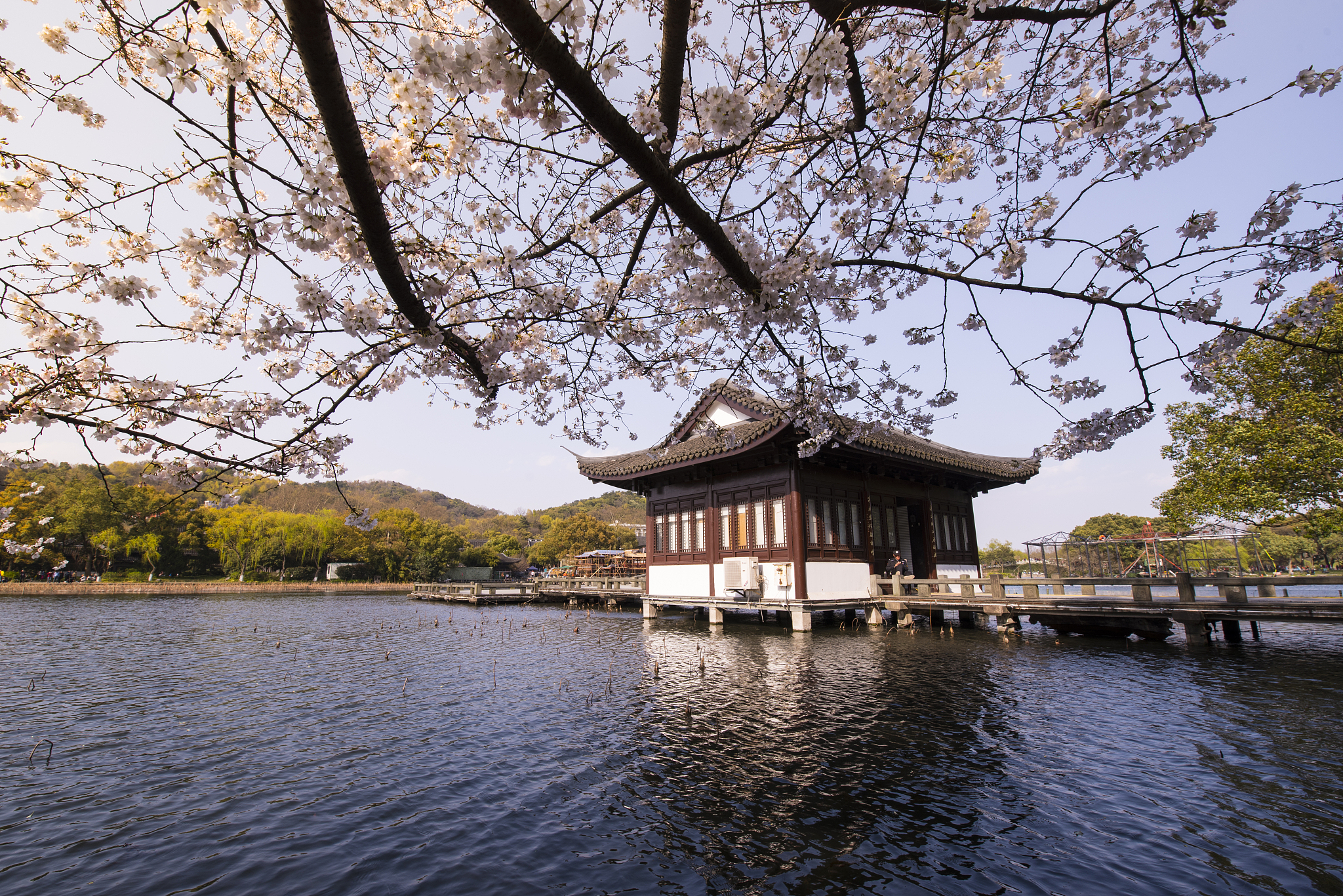 写一篇西湖文化相关散文诗