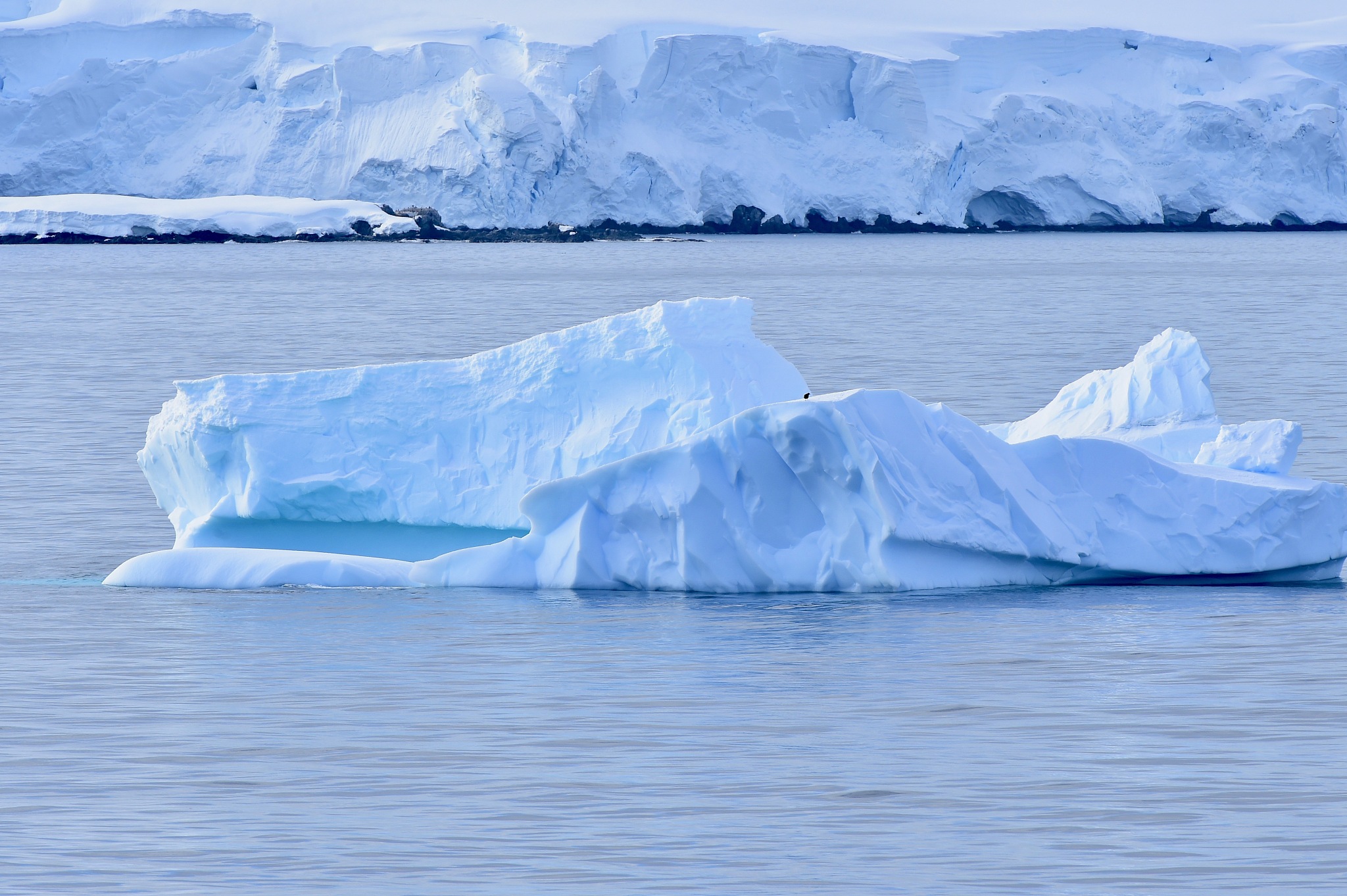 antarctica