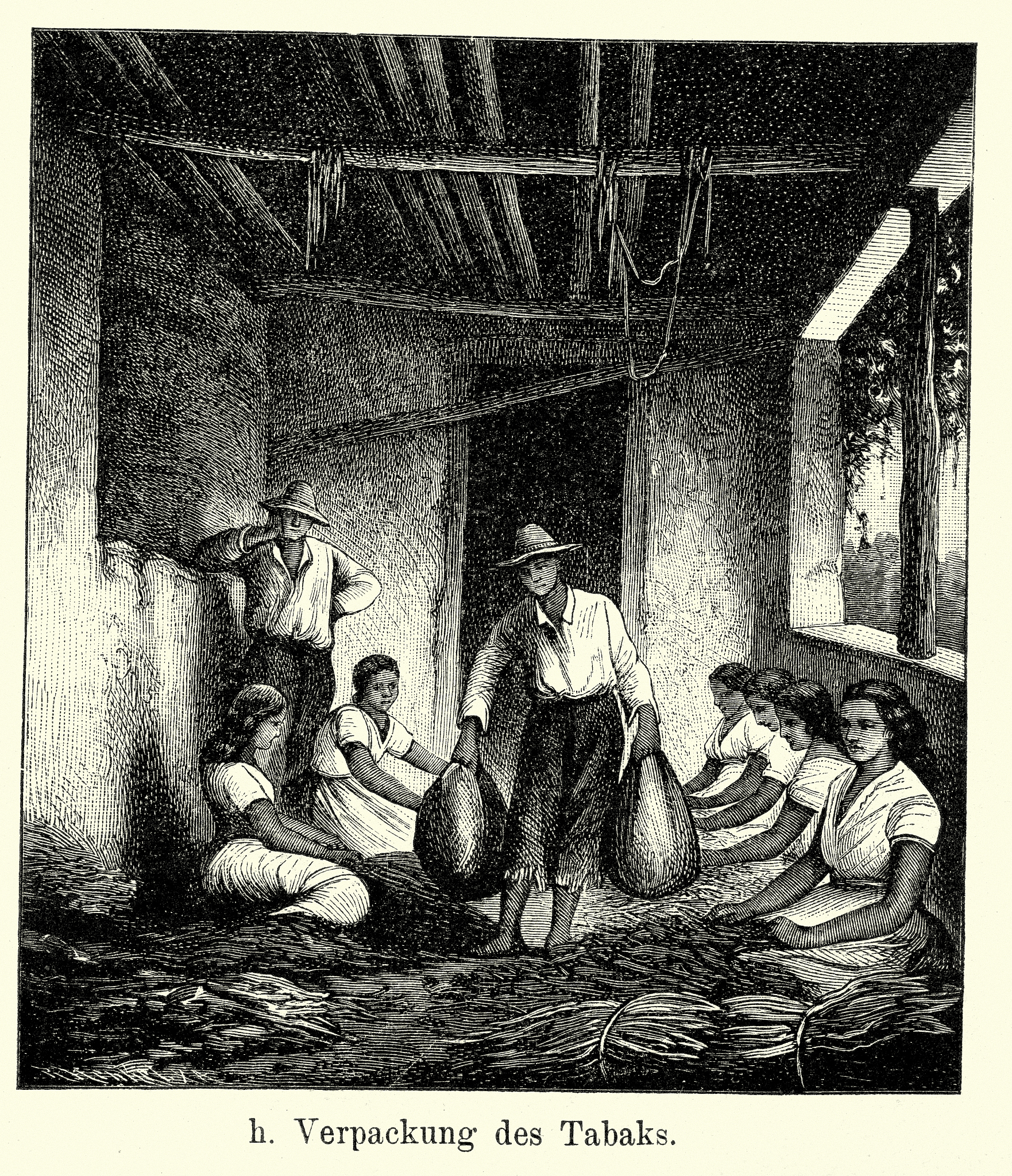 Buckland_Chapter3-Steering Behaviors: Wander Behavior with Priority in Python