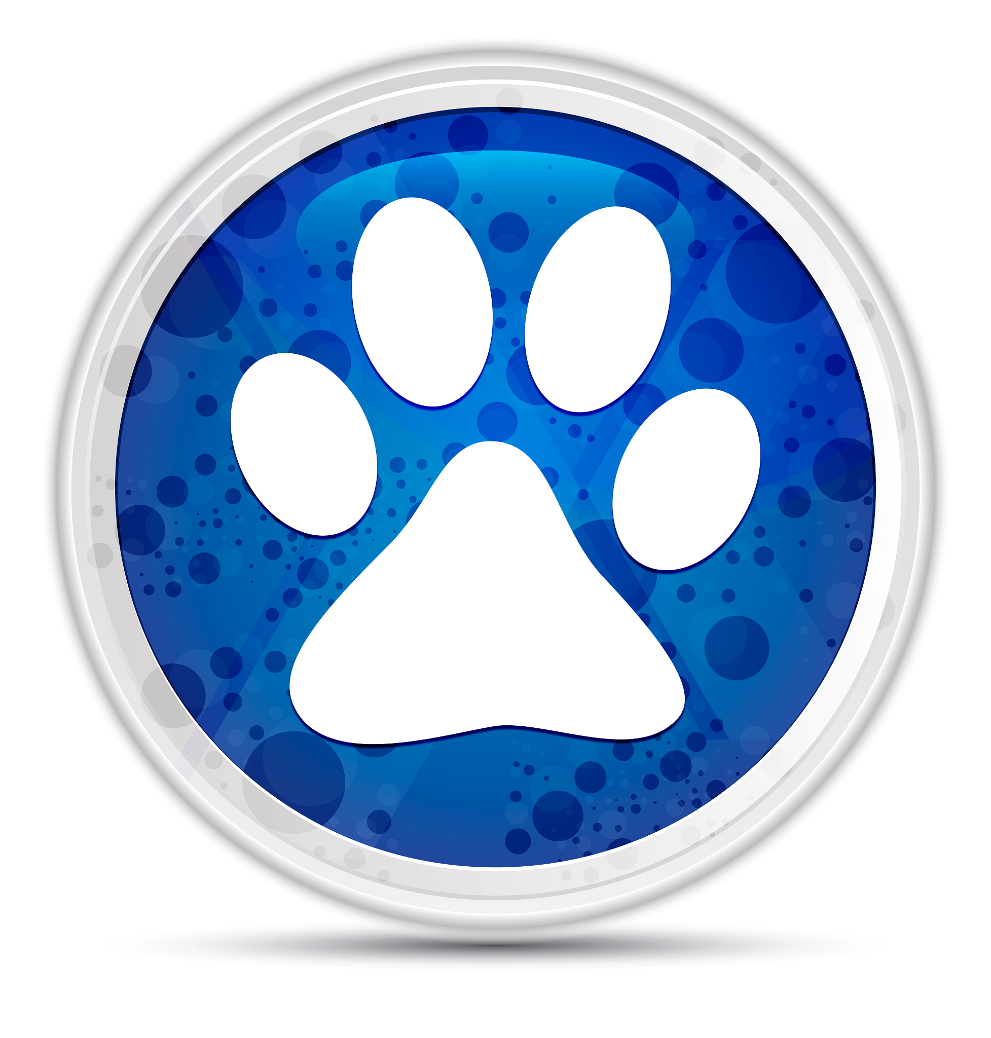 以蓝色脚印为素材写一篇50字的童诗