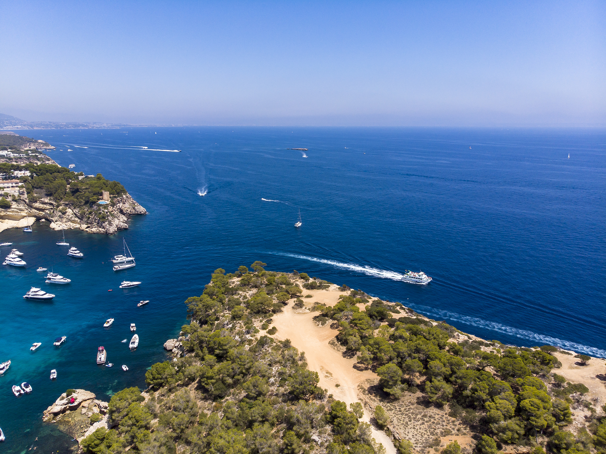 spain, mallorca, palma de mallorca, aerial view of portals vells