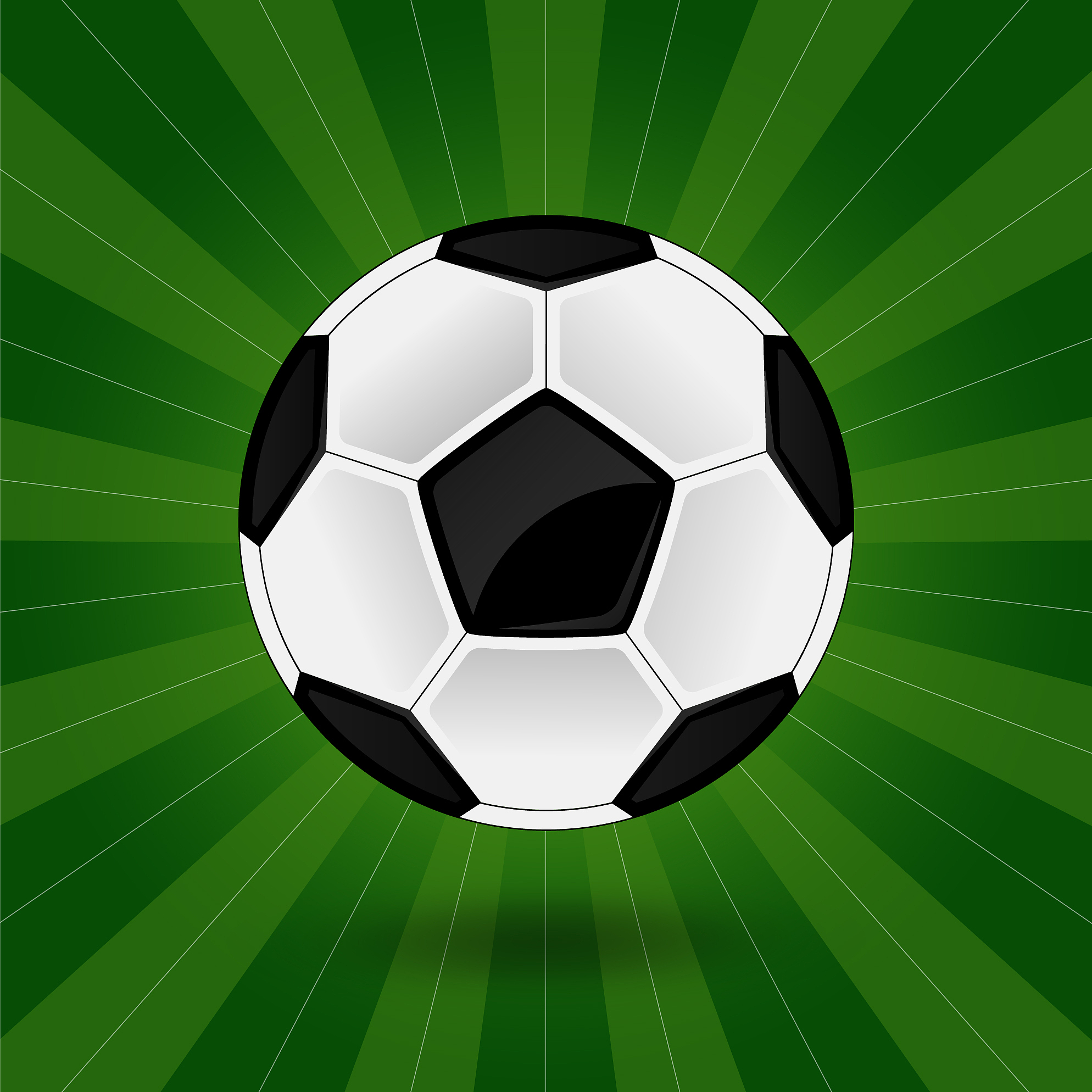 a soccer ball