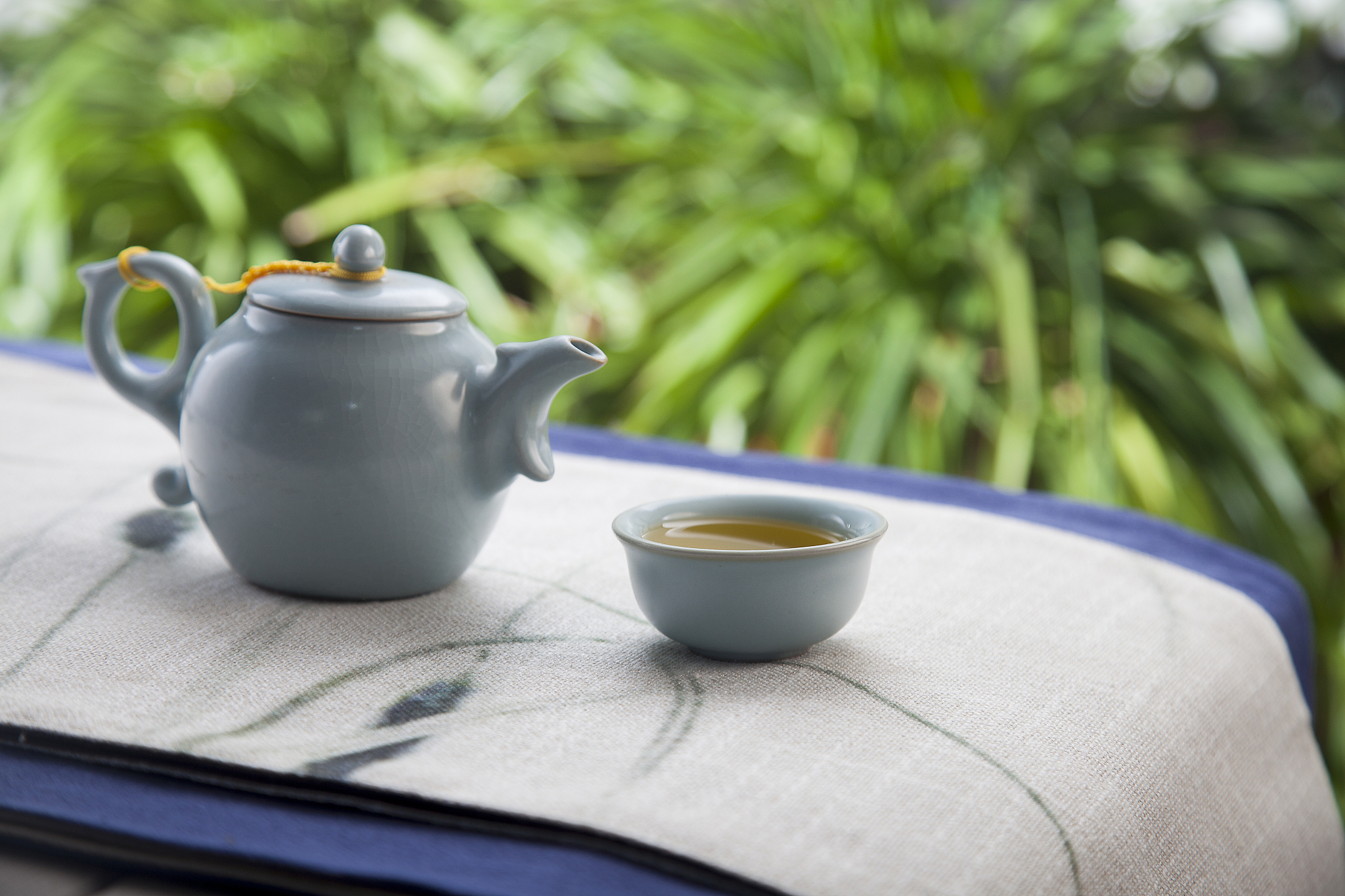 泡茶的乐趣：从选择茶叶到品味香醇