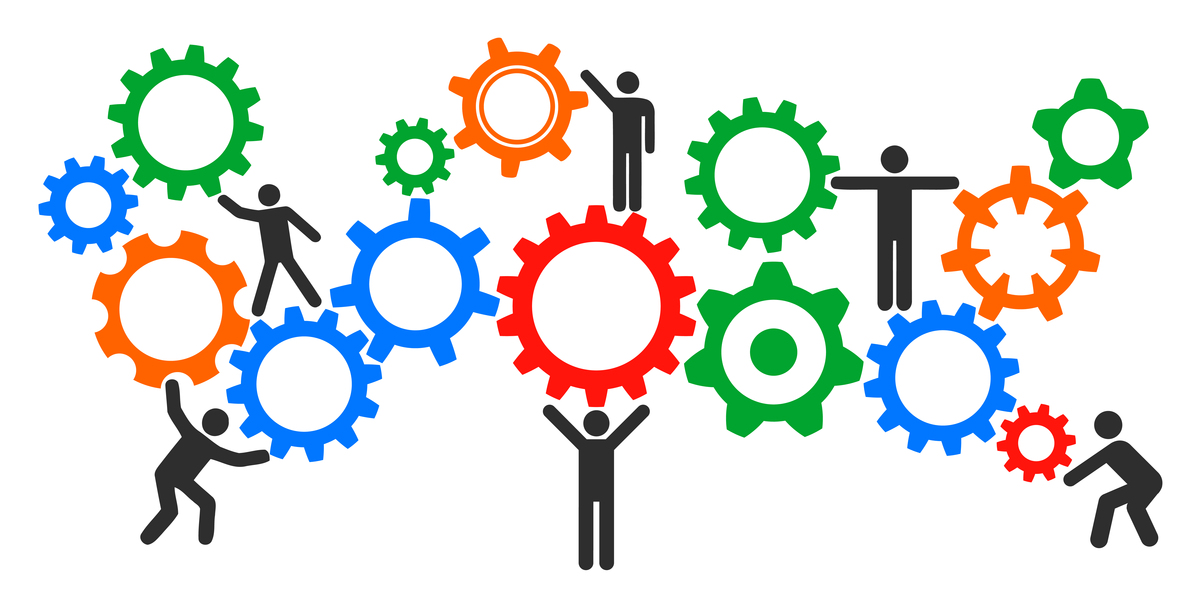 参与XX类型竞赛，我的作用有哪些？