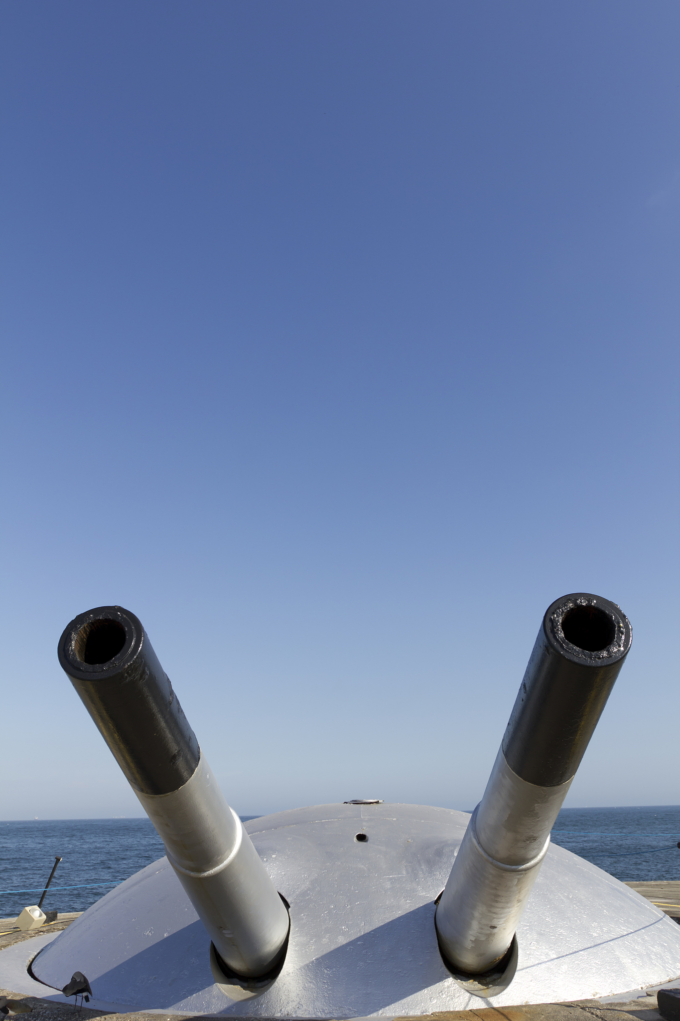 cannon