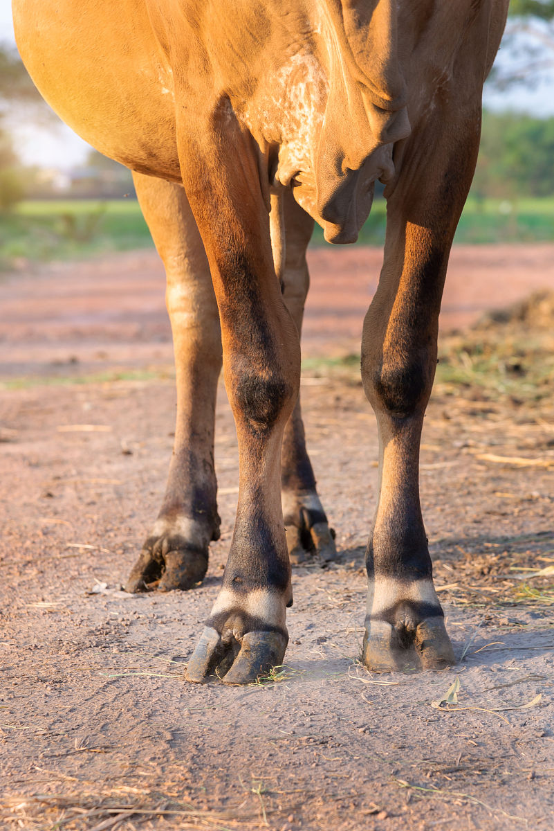 曲靖农业学校2019年五年制大专招生信息