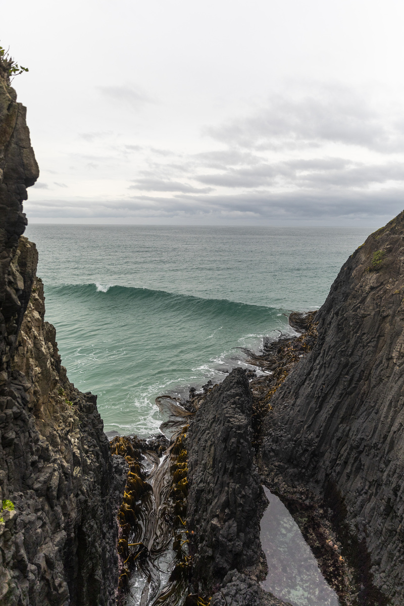 海运保险公司有哪些