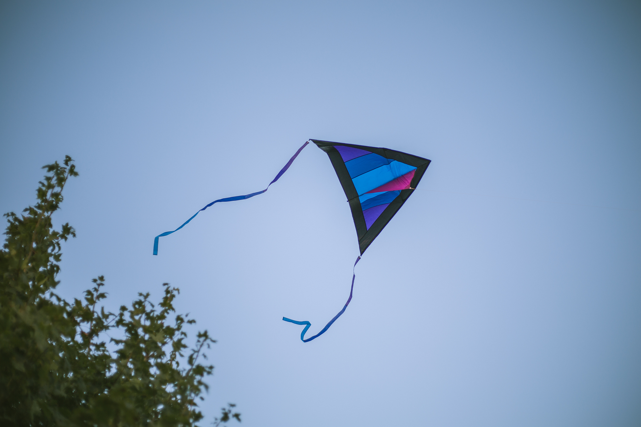 kite in the sky