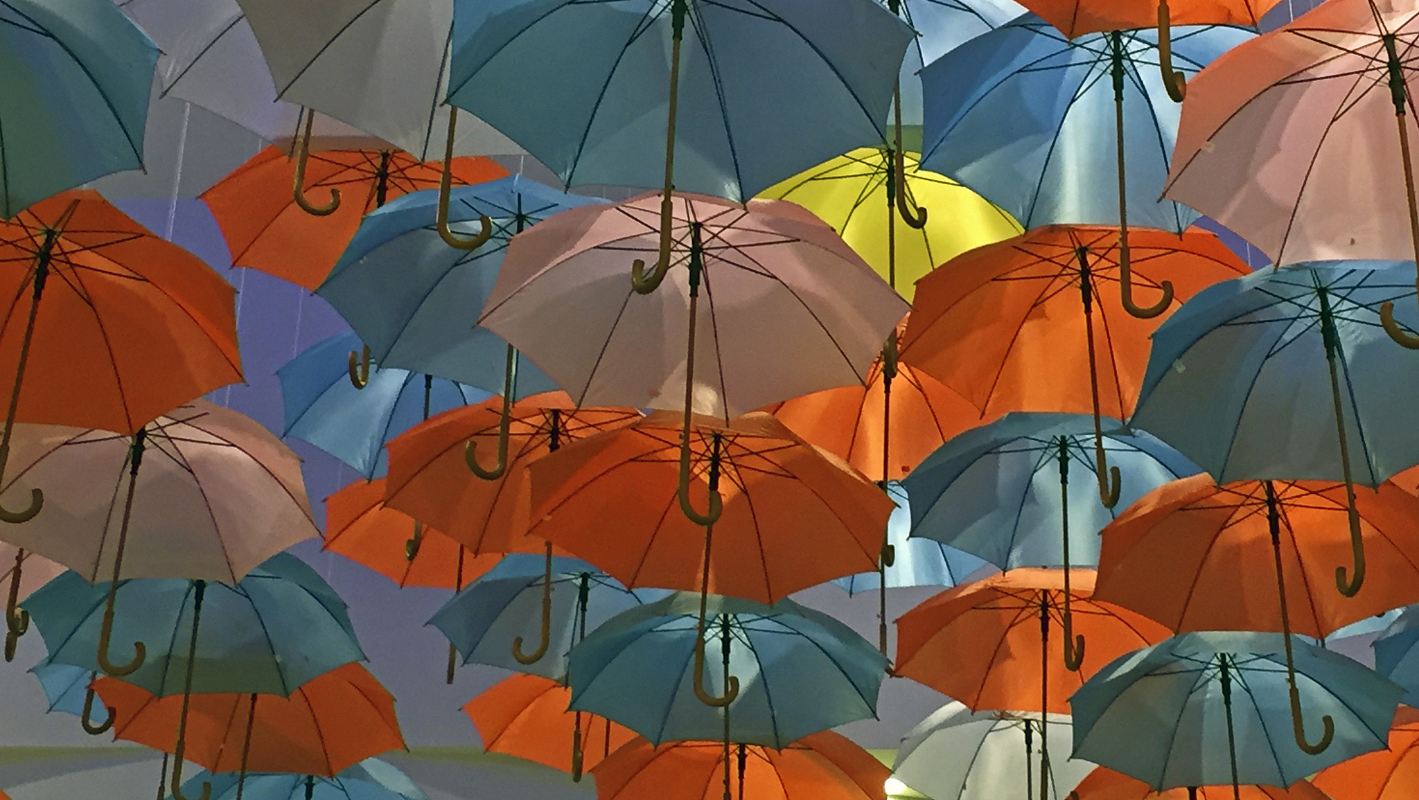 umbrellas, mobile photography.