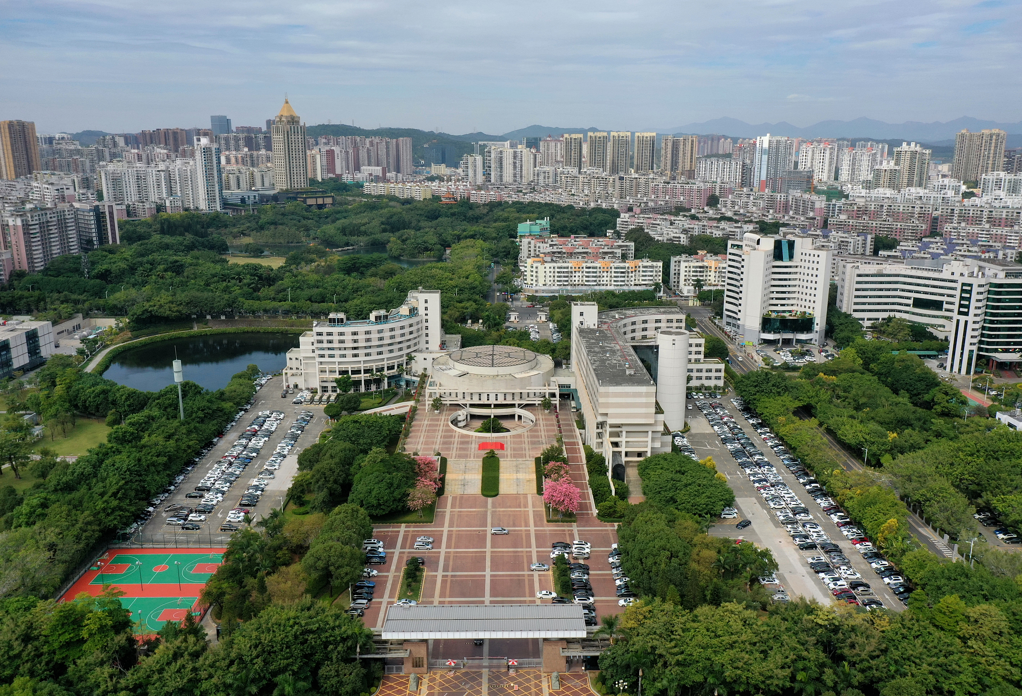 深圳求助热线：为您提供全天候服务与支持