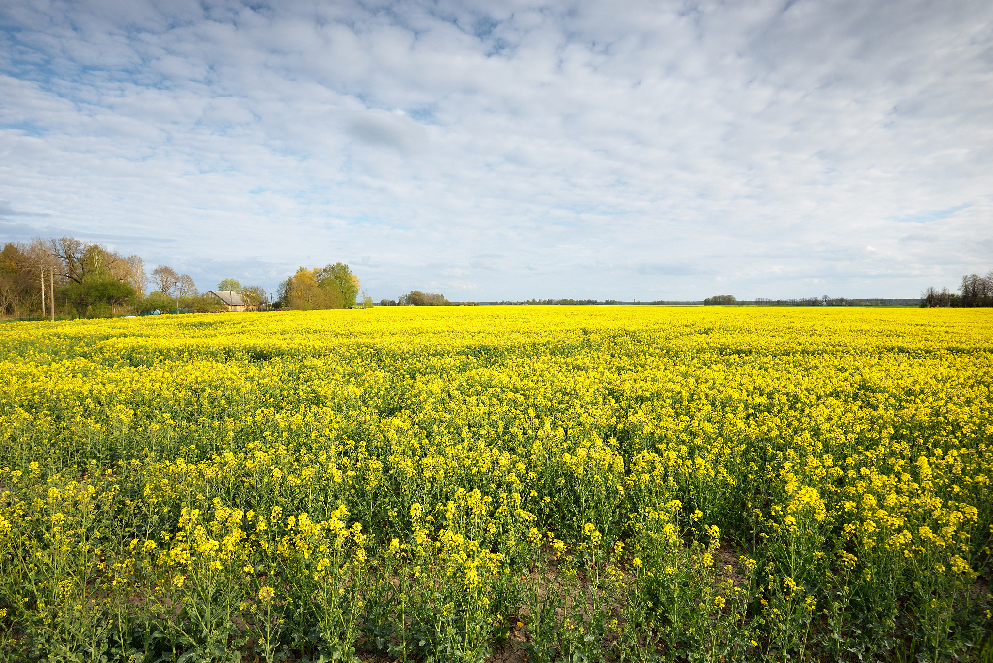江西生物科技职业学院休闲农业专业优势怎么样发展前景好不好呢