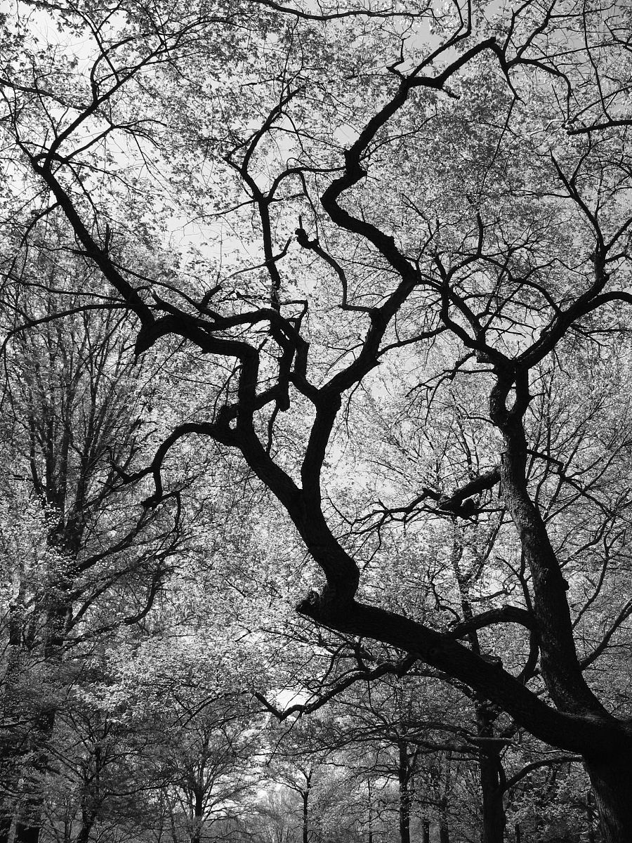 列出所有大小钢筋验收尺寸