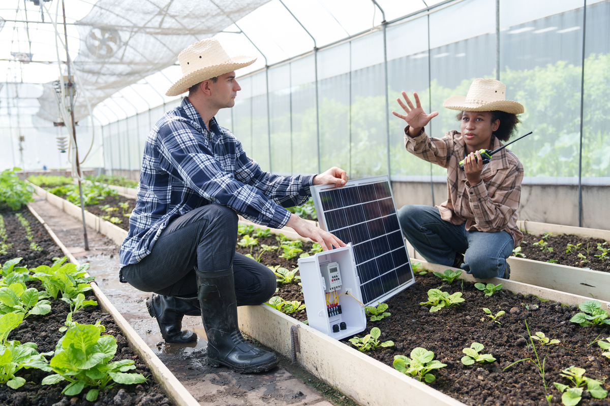 请你写一篇关于人工智能在农业工作中的应用的研究论文不少于3000字