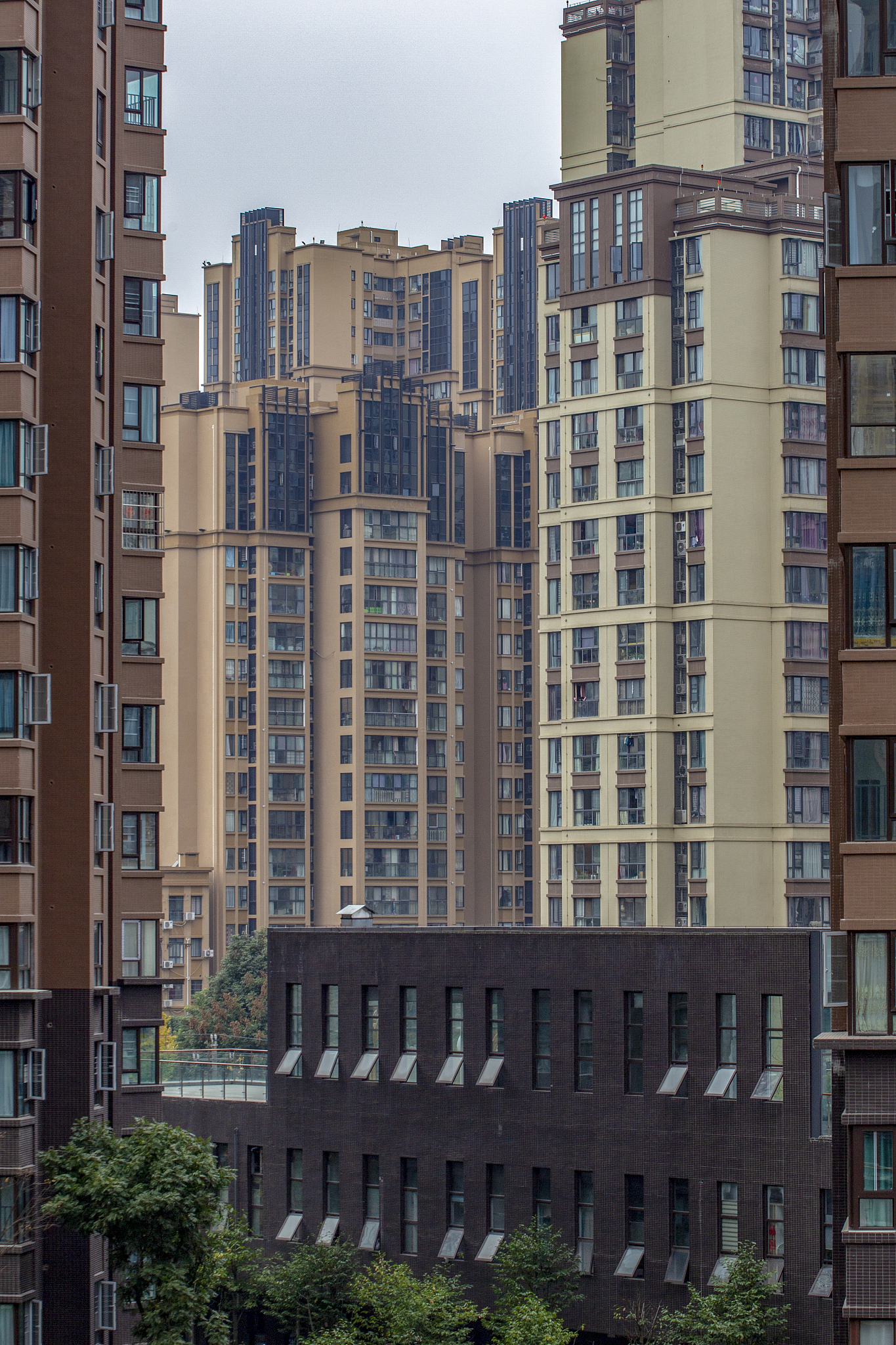 绵阳女生中专学校技术专业推荐：热门选择与未来趋势