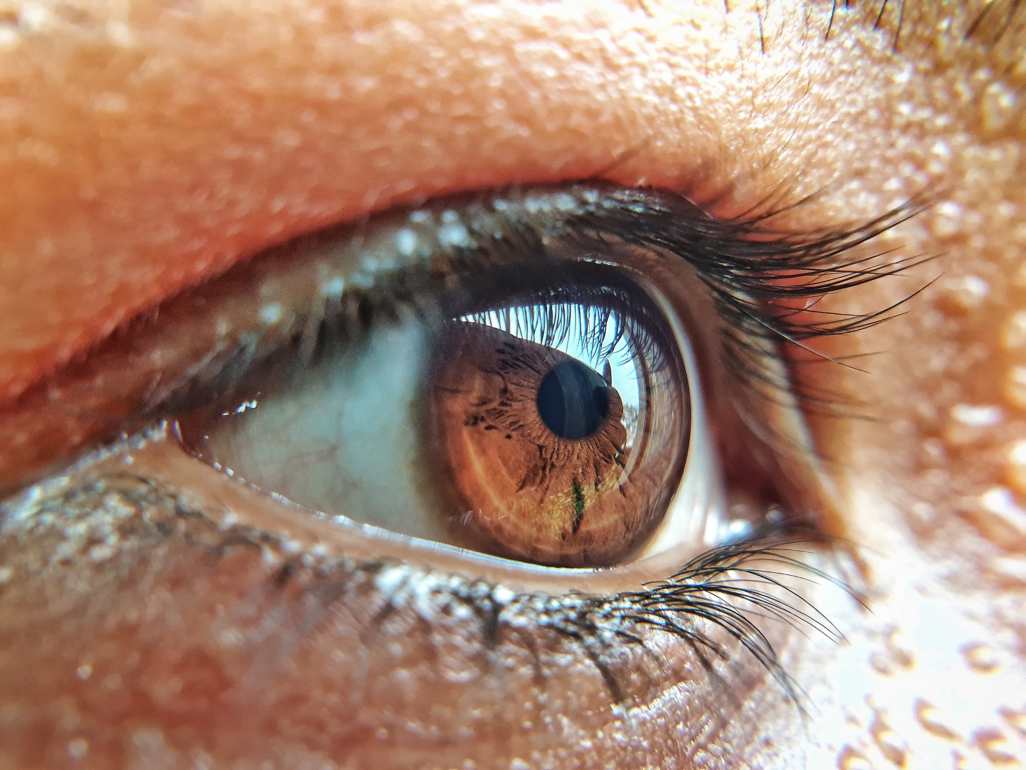 close-up of human eye