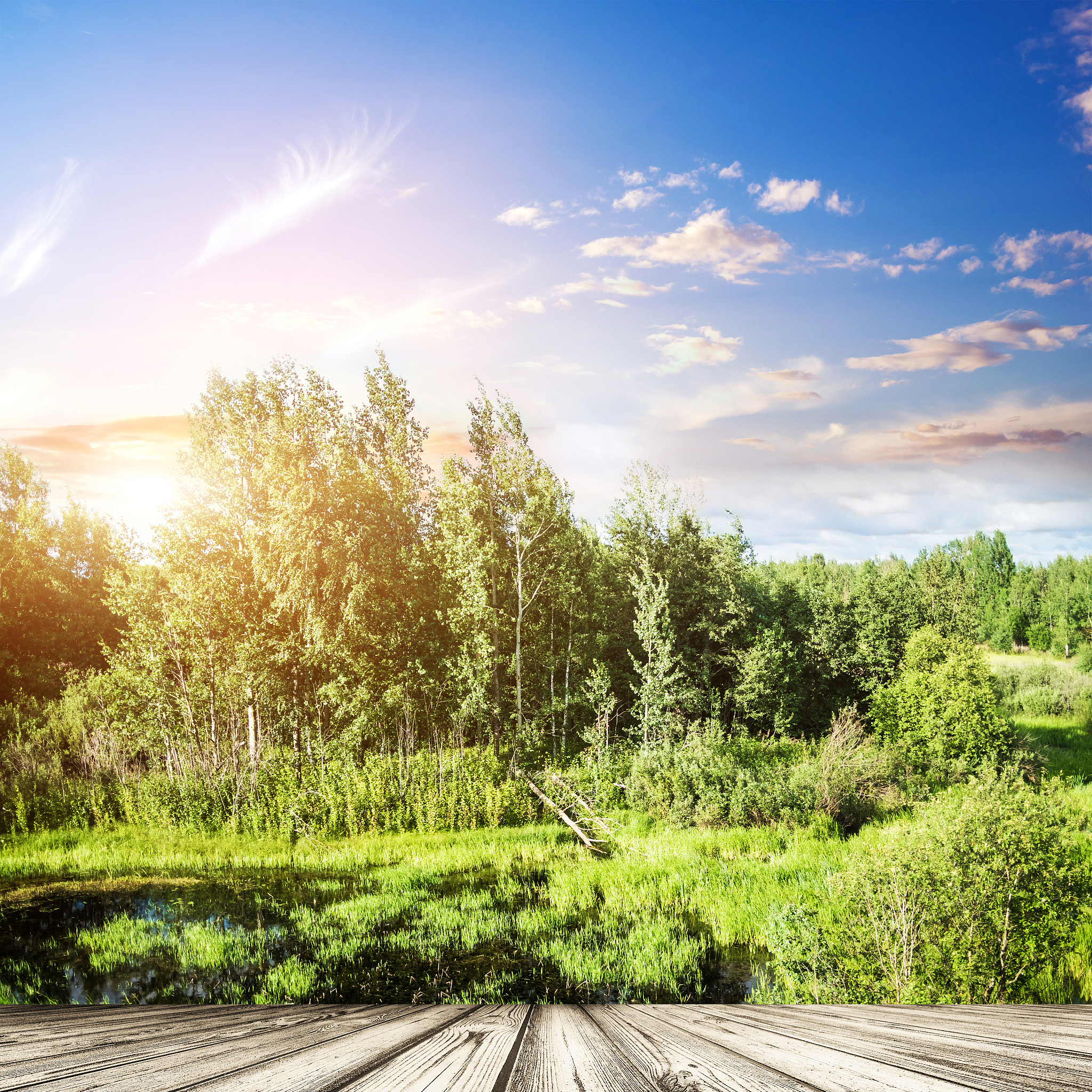 入夏美文：感受阳光、活力和自然之美