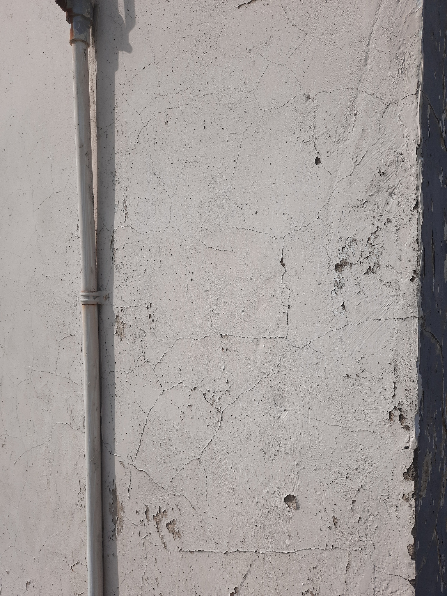 用石灰浆粉刷墙壁干燥后墙壁会变硬的化学方程式