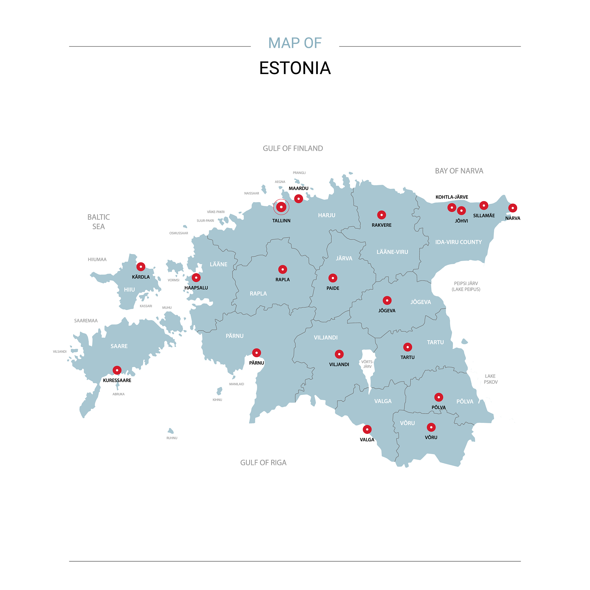 estonia map with red pin