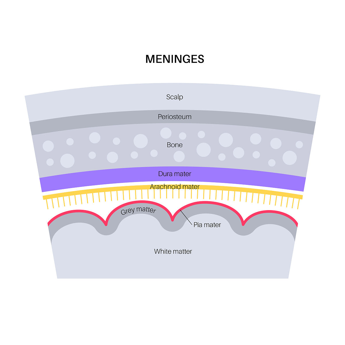 黔东南民族职业技术学院2023年招生专业之口腔医学系专业介绍
