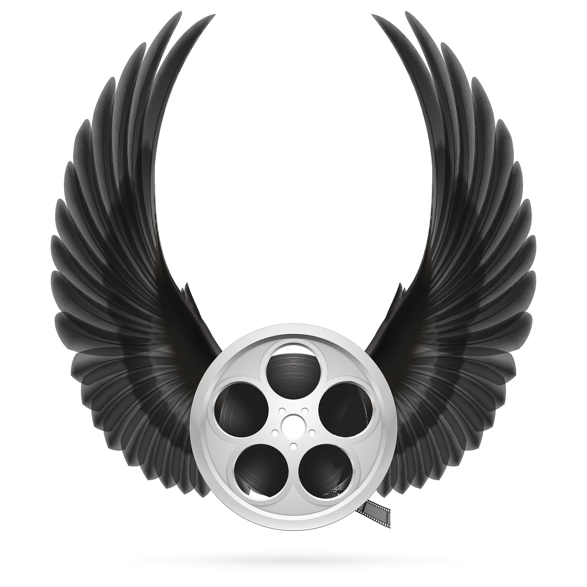 摄影高手都具备那些特点写一篇500字的文章