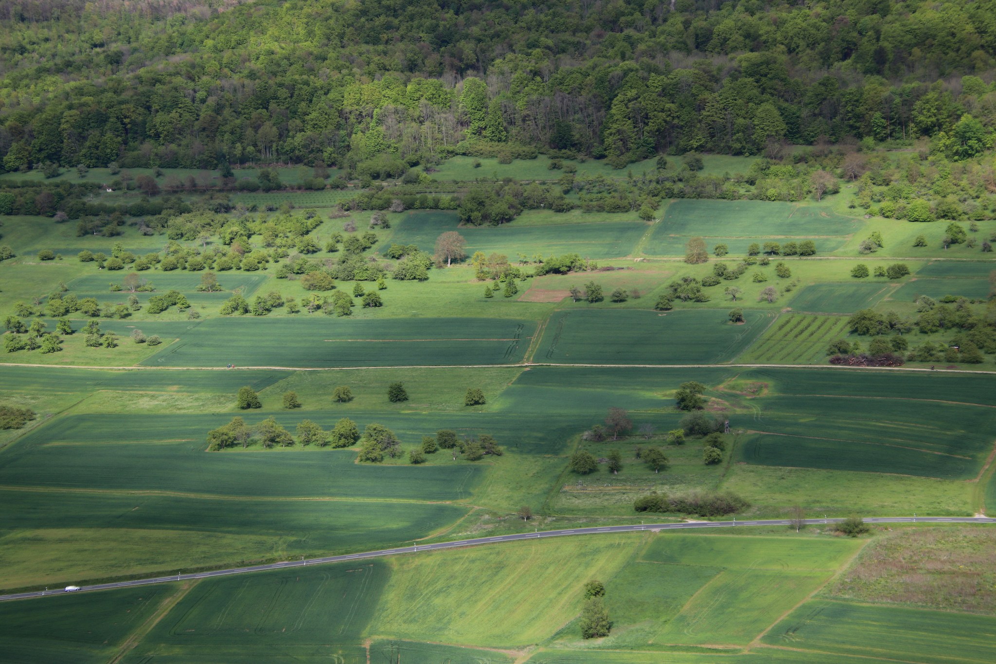 high angle view of agricultural field