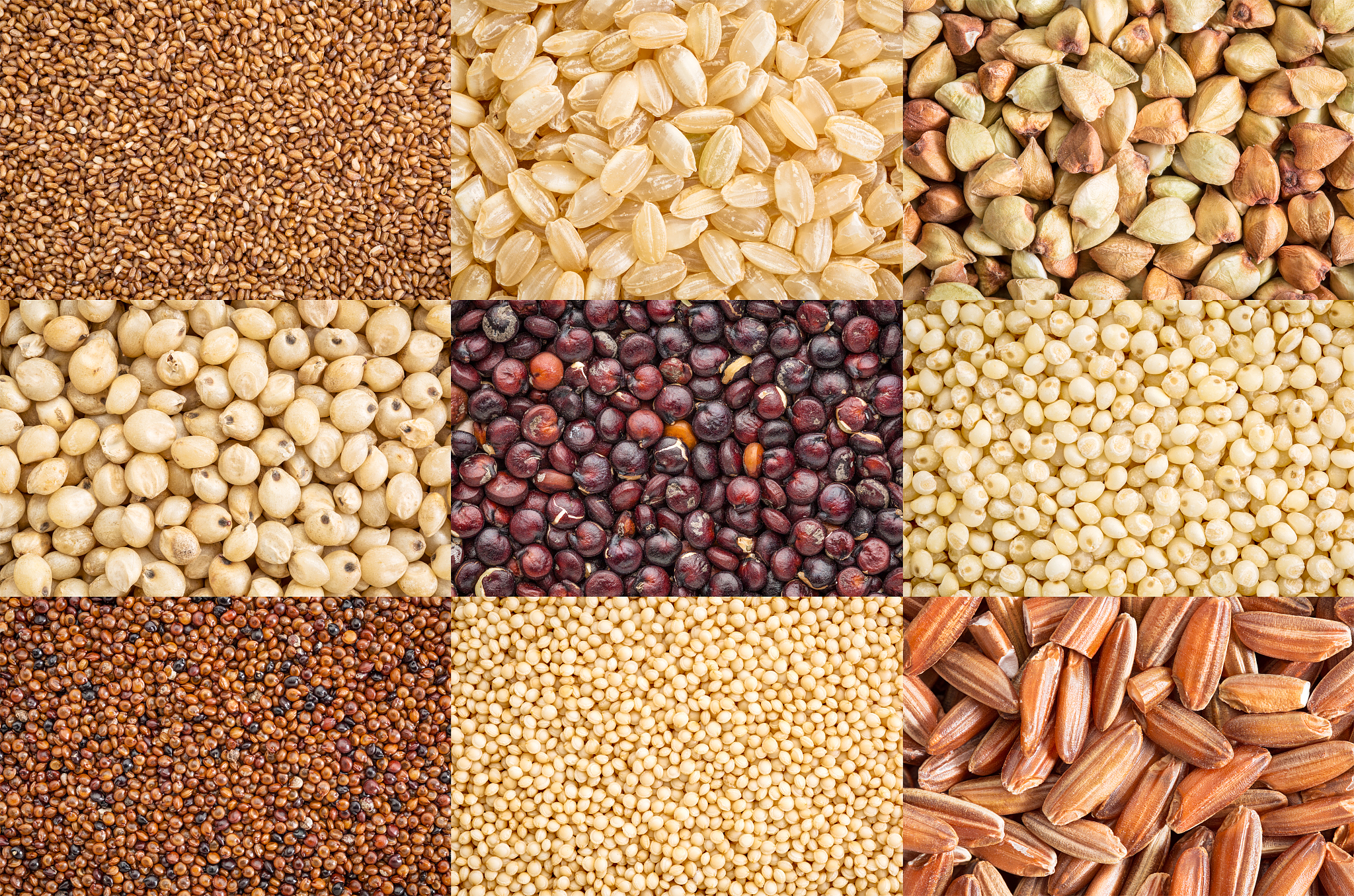 gluten free grains collection