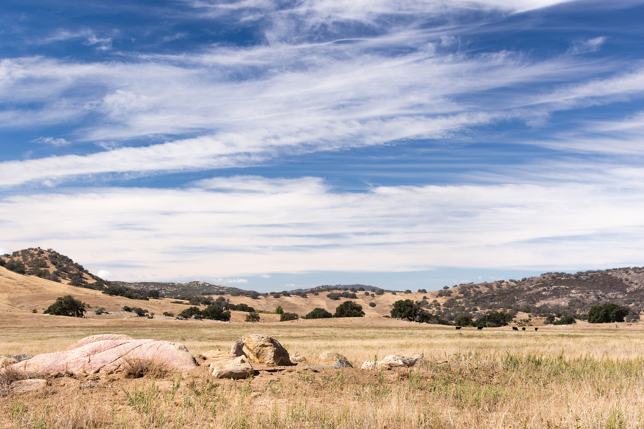 草地资源：地球生态系统的重要组成部分