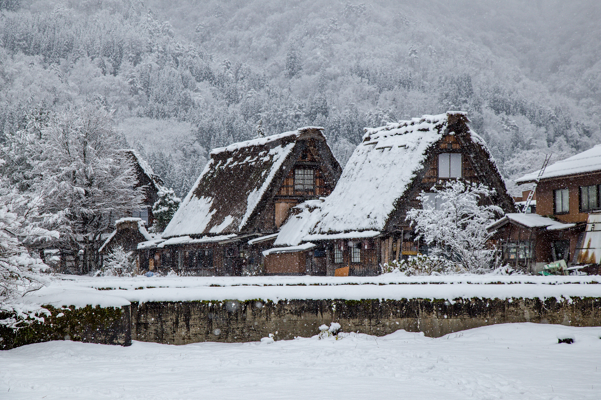 traditional house gassho style in shirakawago