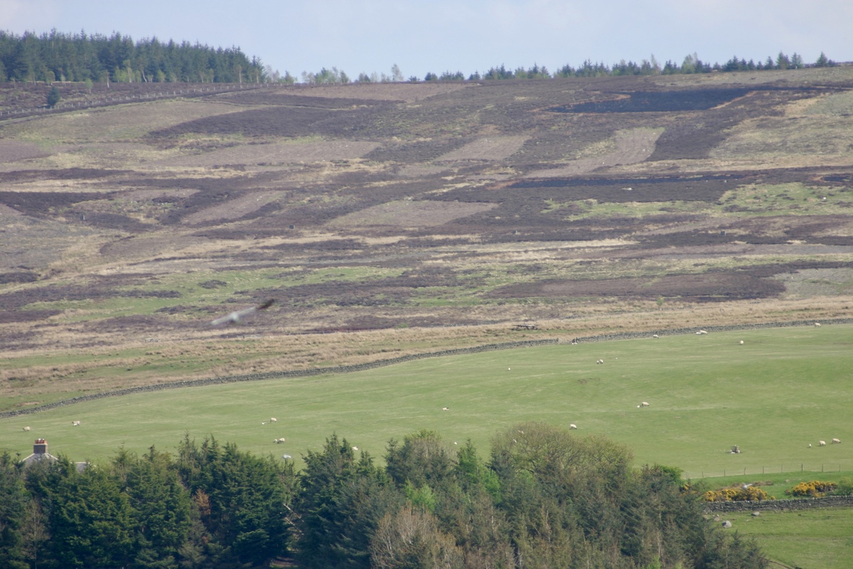 内蒙古自治区乡村人口迁出对生态脆弱地区植被覆被的影响